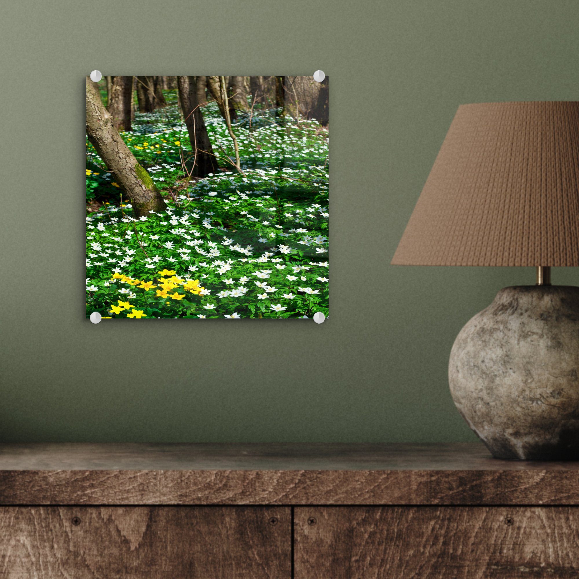 grünen Waldmeisters Wandbild (1 mit St), - Waldboden Bilder - Glas Farben Acrylglasbild Foto auf Der - des MuchoWow ist bedeckt, Wanddekoration den Glasbilder auf Glas