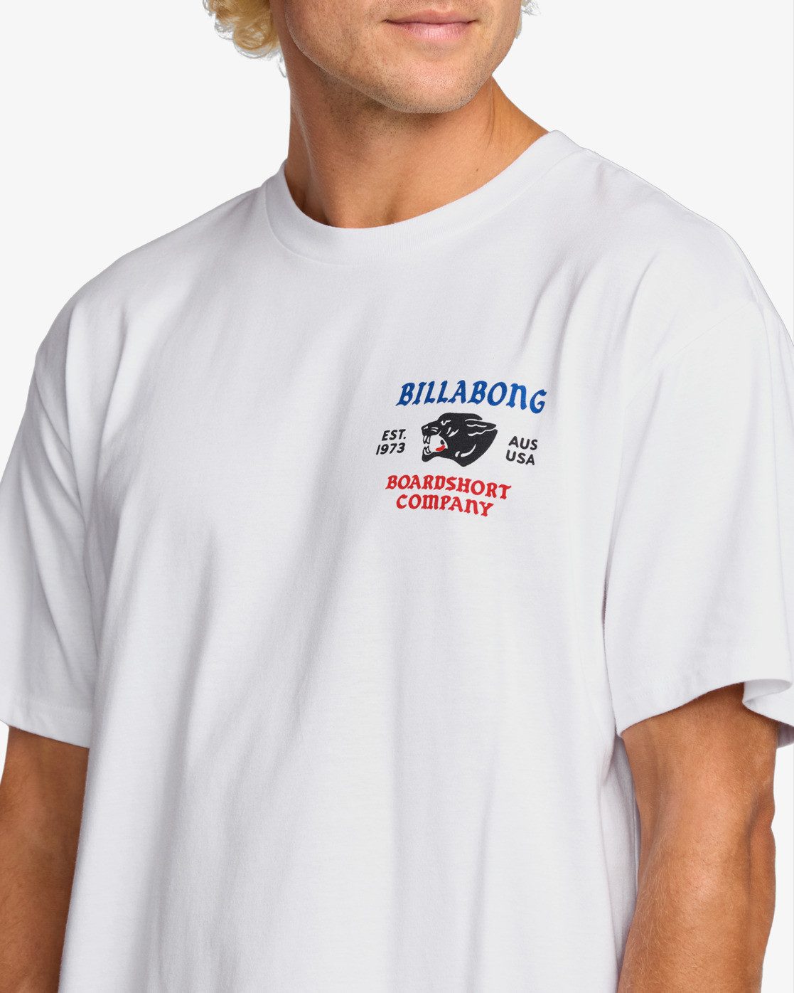 Billabong Print-Shirt Billabong Formidable Regular - T-Shirt