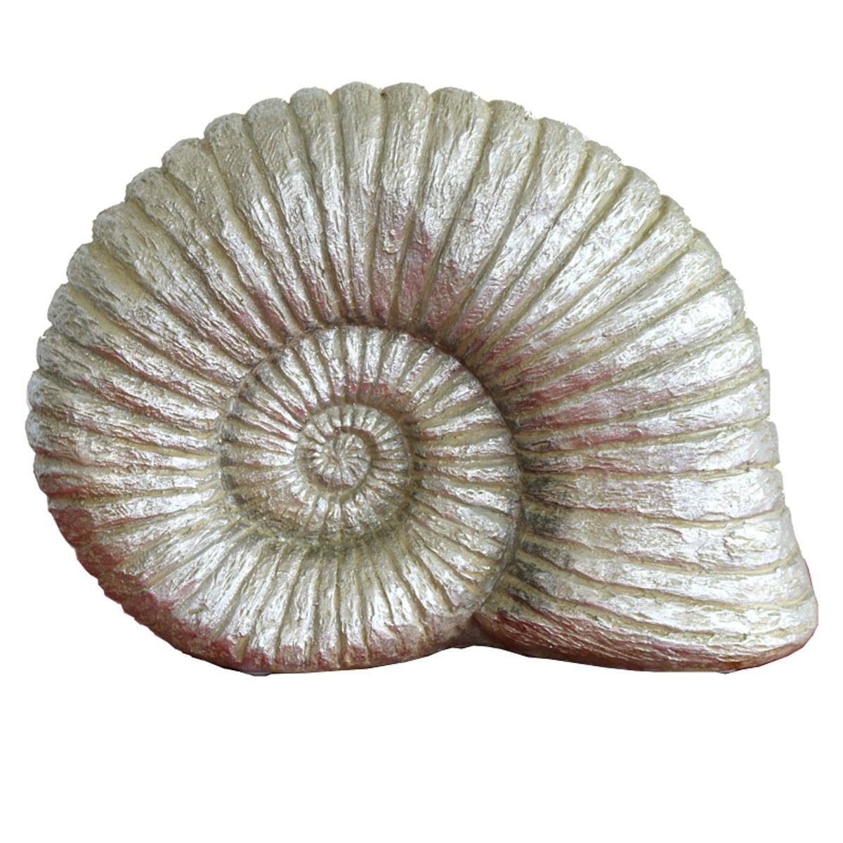 Dekoobjekt Ammonit Hilda 440s silberfarben Polyresin, 440s
