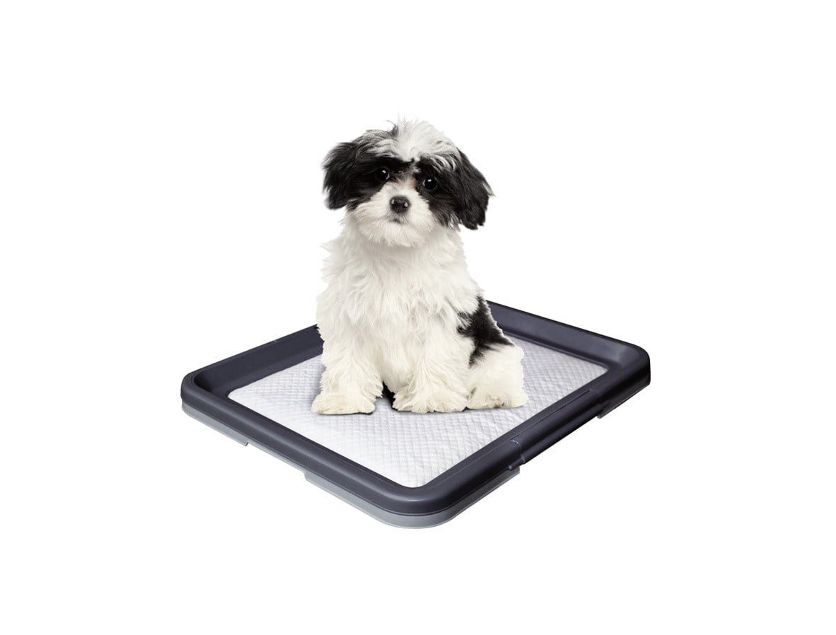 Nobby Hundematte Nobby Doggy Trainer Ersatzpads 24 Stück Größe S