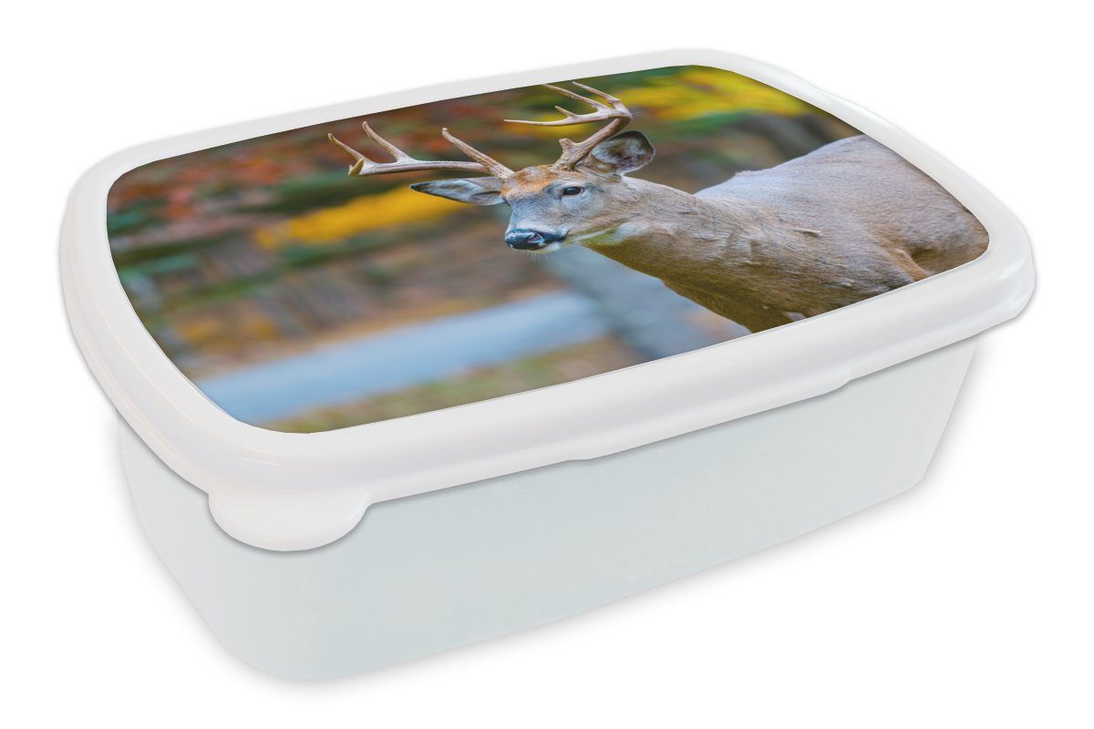 MuchoWow Lunchbox Tierkopf - Hirsche - Wasser, Kunststoff, (2-tlg), Brotbox für Kinder und Erwachsene, Brotdose, für Jungs und Mädchen weiß