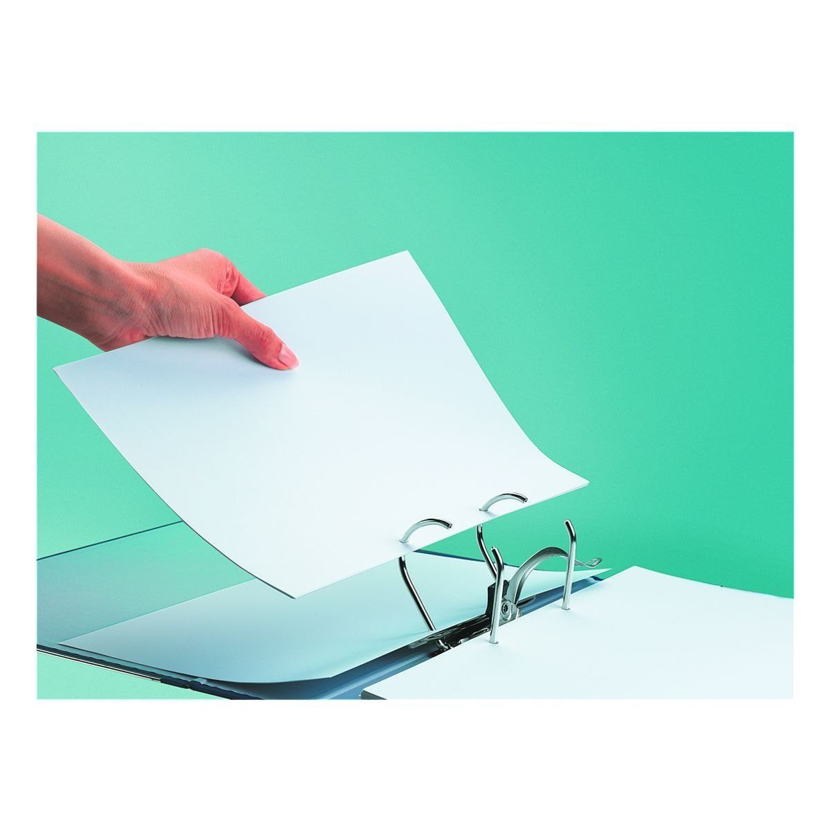 LEITZ Aktenordner 1015, Ordner schmal, auswechselbares Rückenschild