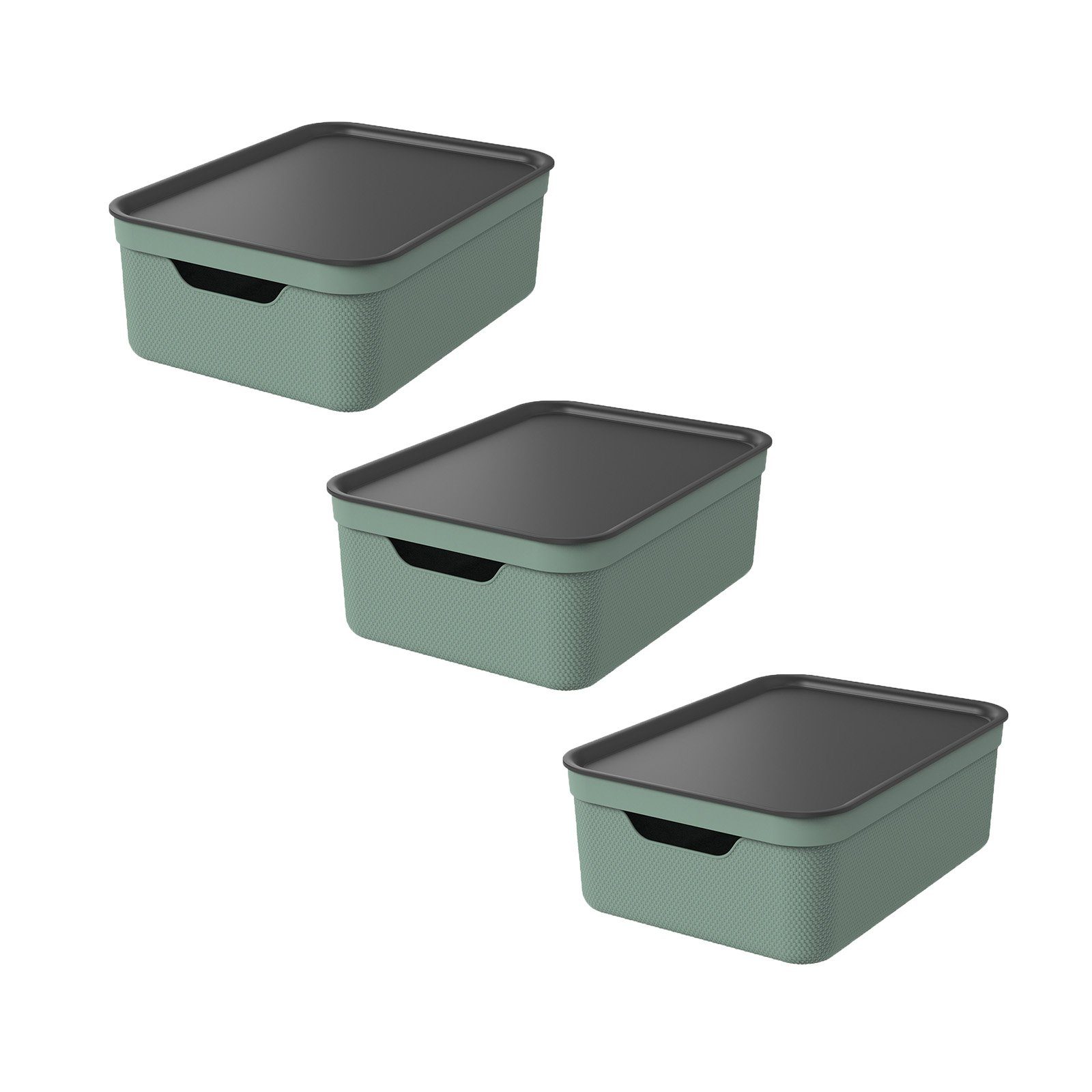 ROTHO Aufbewahrungsbox 3er Set Aufbewahrungsbox mit günstig online kaufen