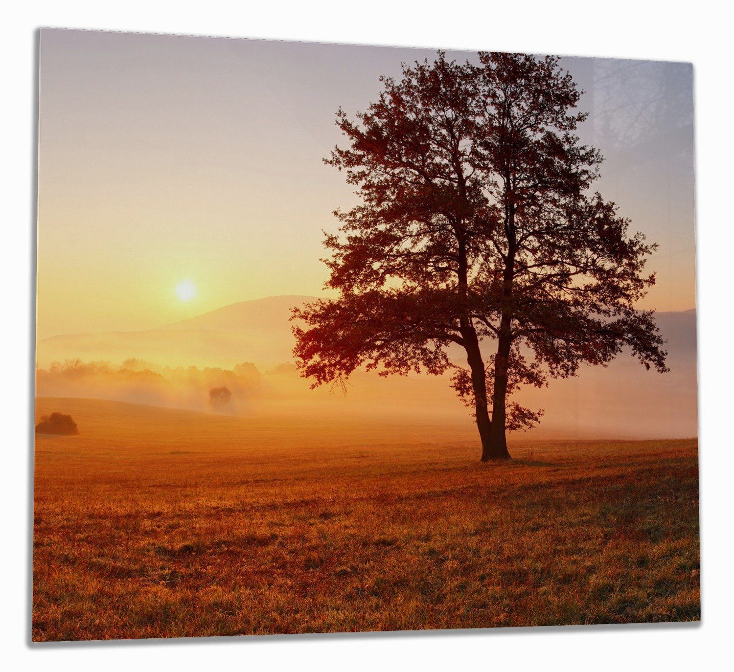 Wallario Herd-Abdeckplatte Sonnenaufgang über der Wiese mit Nebel, ESG-Sicherheitsglas, (Glasplatte, 1 tlg., inkl. 5mm Noppen), verschiedene Größen