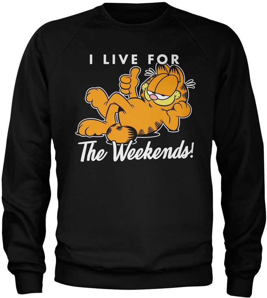 Garfield Rundhalspullover