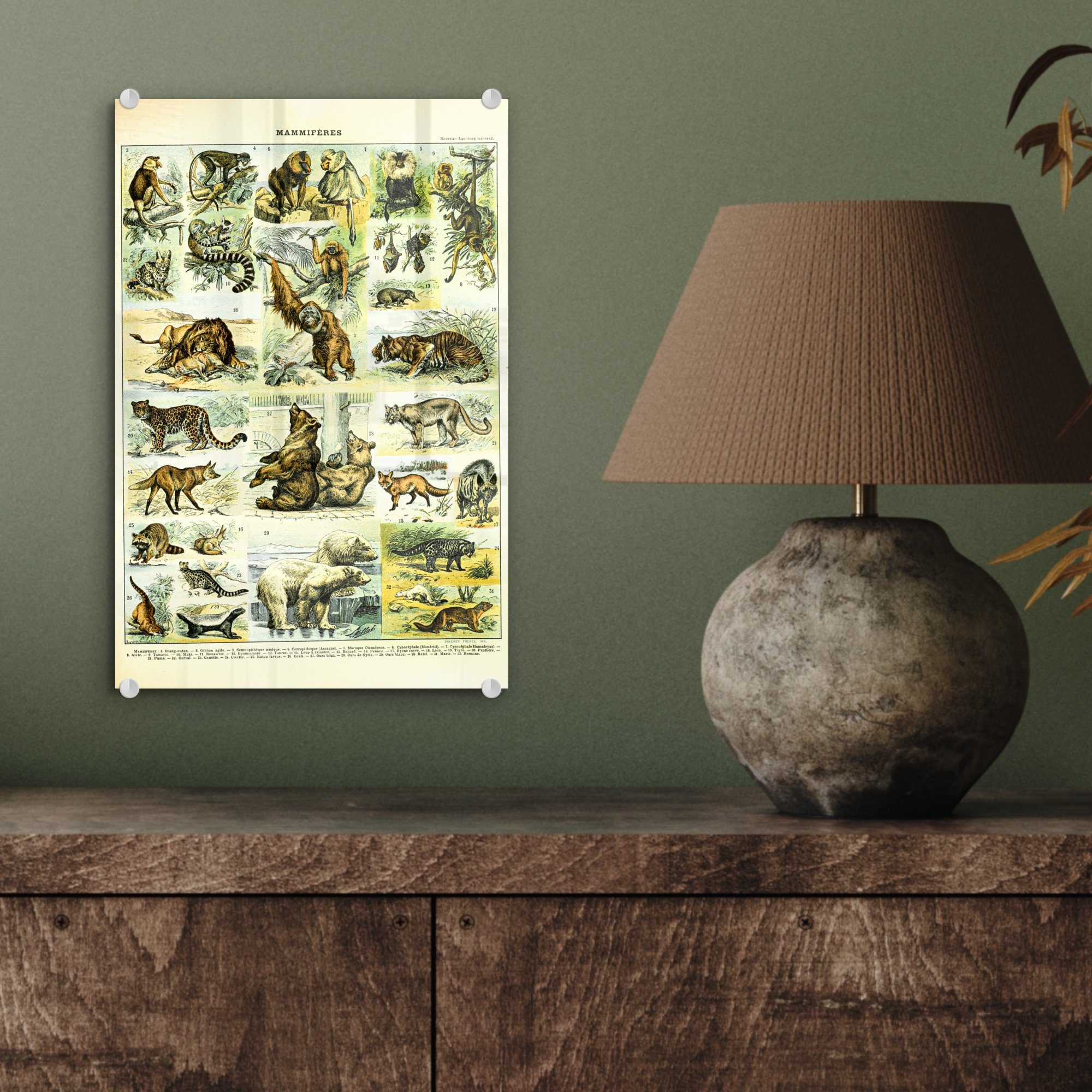 MuchoWow Acrylglasbild Tiere - Wanddekoration - - - Bilder - Foto Wandbild Glas auf Affe Glas Bären, Glasbilder auf (1 St)