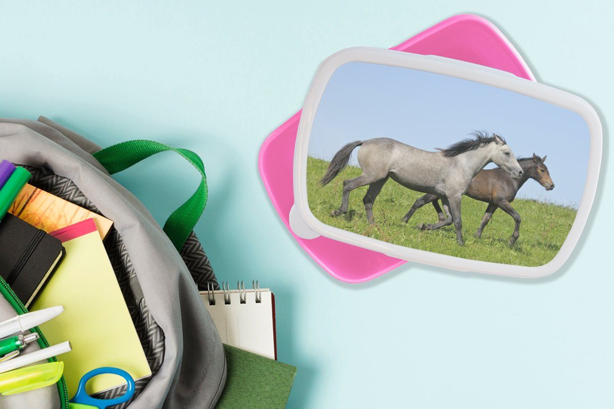 Tiere Brotdose rosa Kunststoff Brotbox MuchoWow Gras, Snackbox, Lunchbox Pferde für - Kinder, - Mädchen, Kunststoff, (2-tlg), Erwachsene,