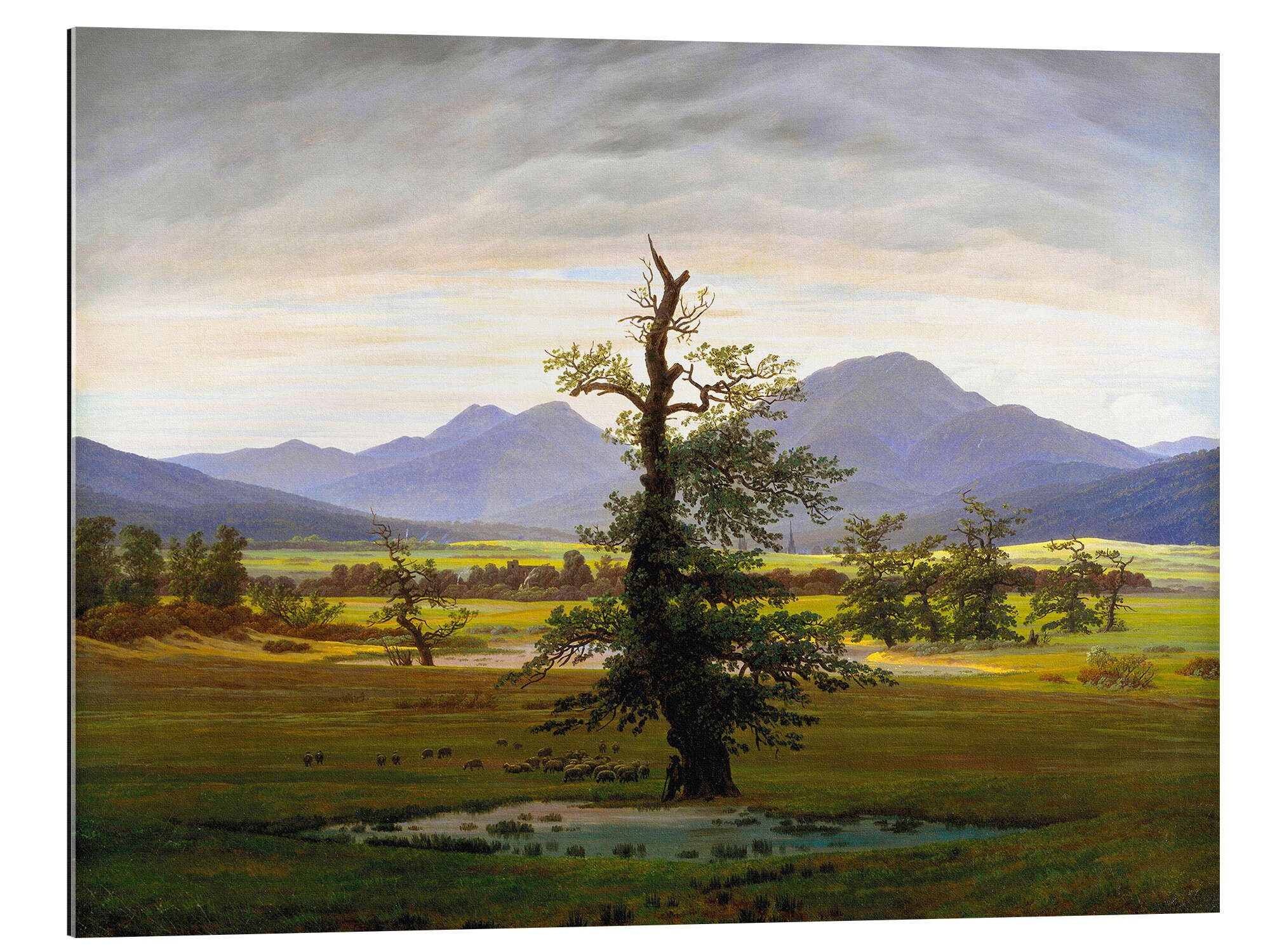 Posterlounge XXL-Wandbild Caspar David Friedrich, Einsamer günstig online kaufen