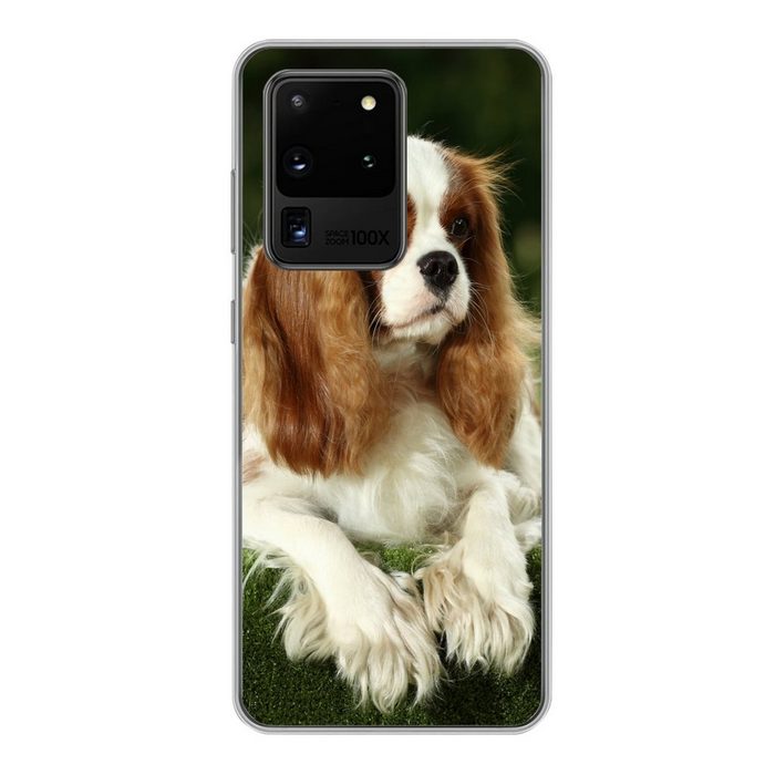MuchoWow Handyhülle Porträt eines Cavalier King Charles Spaniels Phone Case Handyhülle Samsung Galaxy S20 Ultra Silikon Schutzhülle