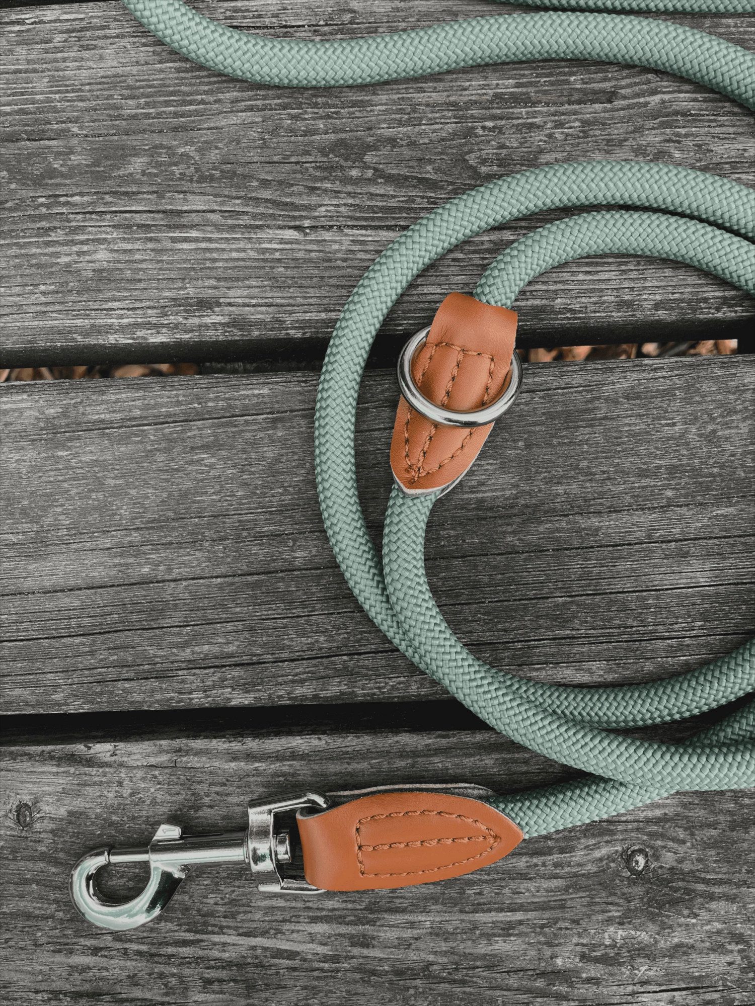 Leisegrün Hundeleine Hundeleine große Hunde Führleine 3m verstellbar mit 2 Karabiner, Nylon