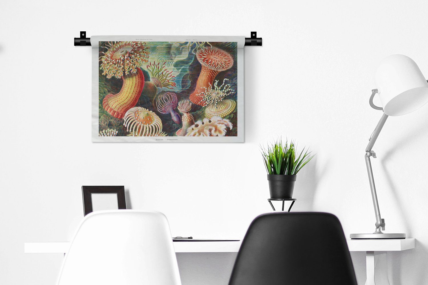 Kleid, Wohnzimmer, Wanddeko - Retro - Schlafzimmer, für Meer, Wanddekoobjekt Kinderzimmer Haeckel Natur - Wandbehang, - Anemone - MuchoWow Ernst Pflanzen