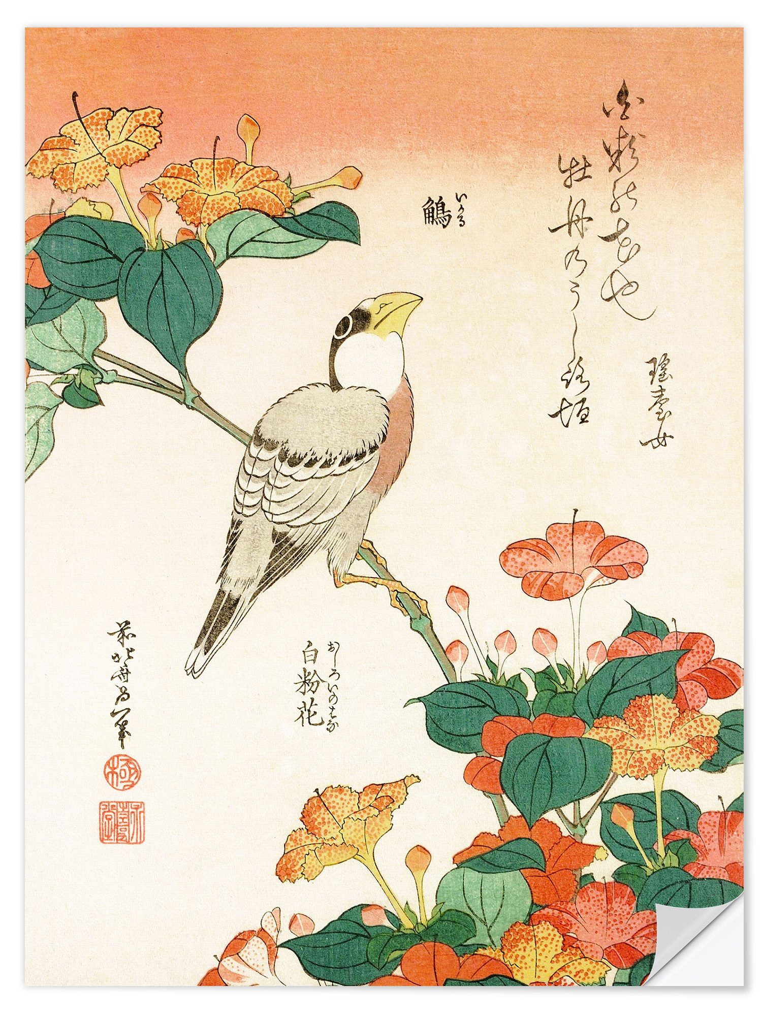 Posterlounge Wandfolie Katsushika Hokusai, Mirabilis Jalapa und Kernbeißer, Wohnzimmer Malerei