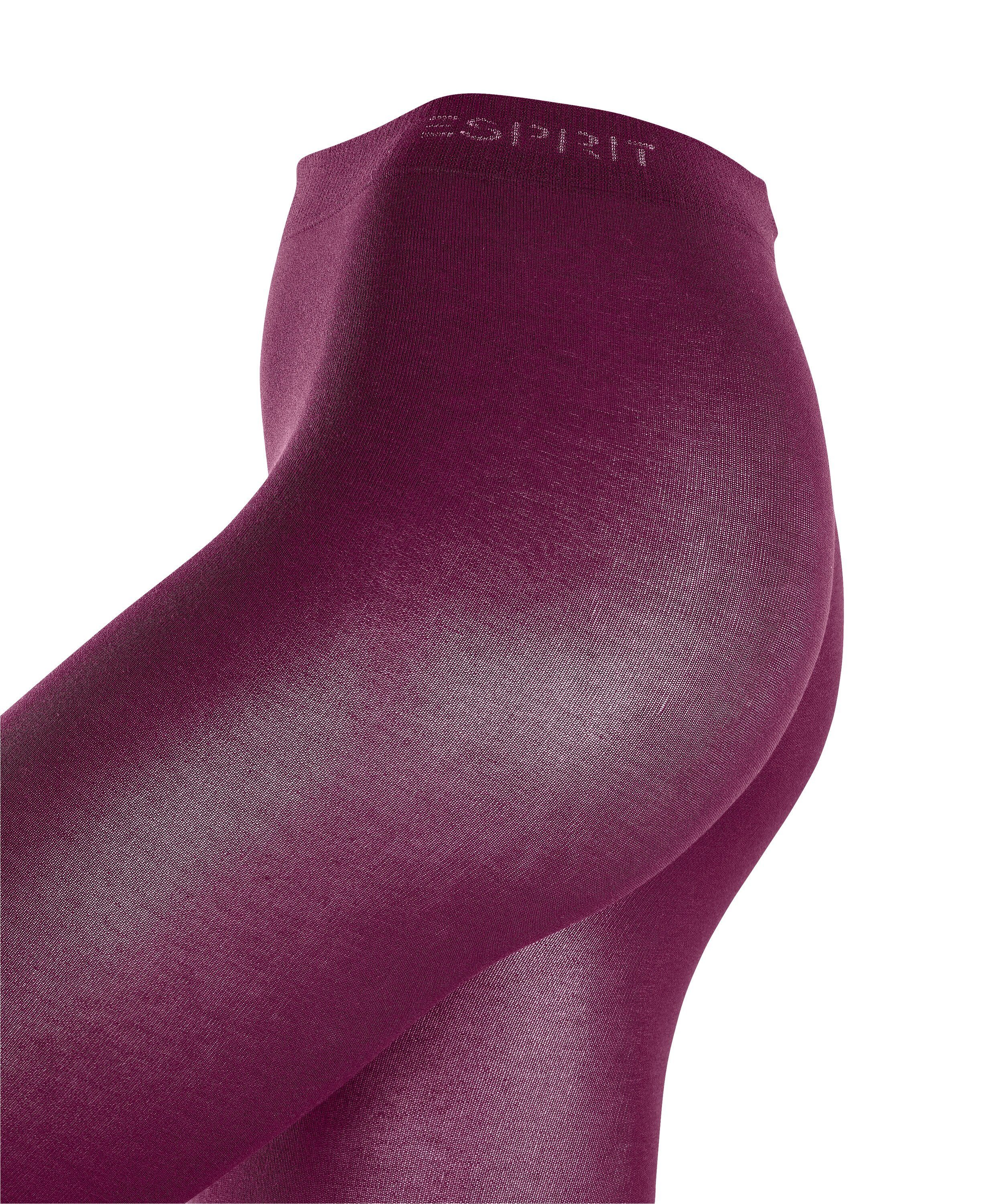 Esprit Feinstrumpfhose Cotton Strumpfhose mit hohem Baumwollanteil (1 St) mit hohem Baumwollanteil