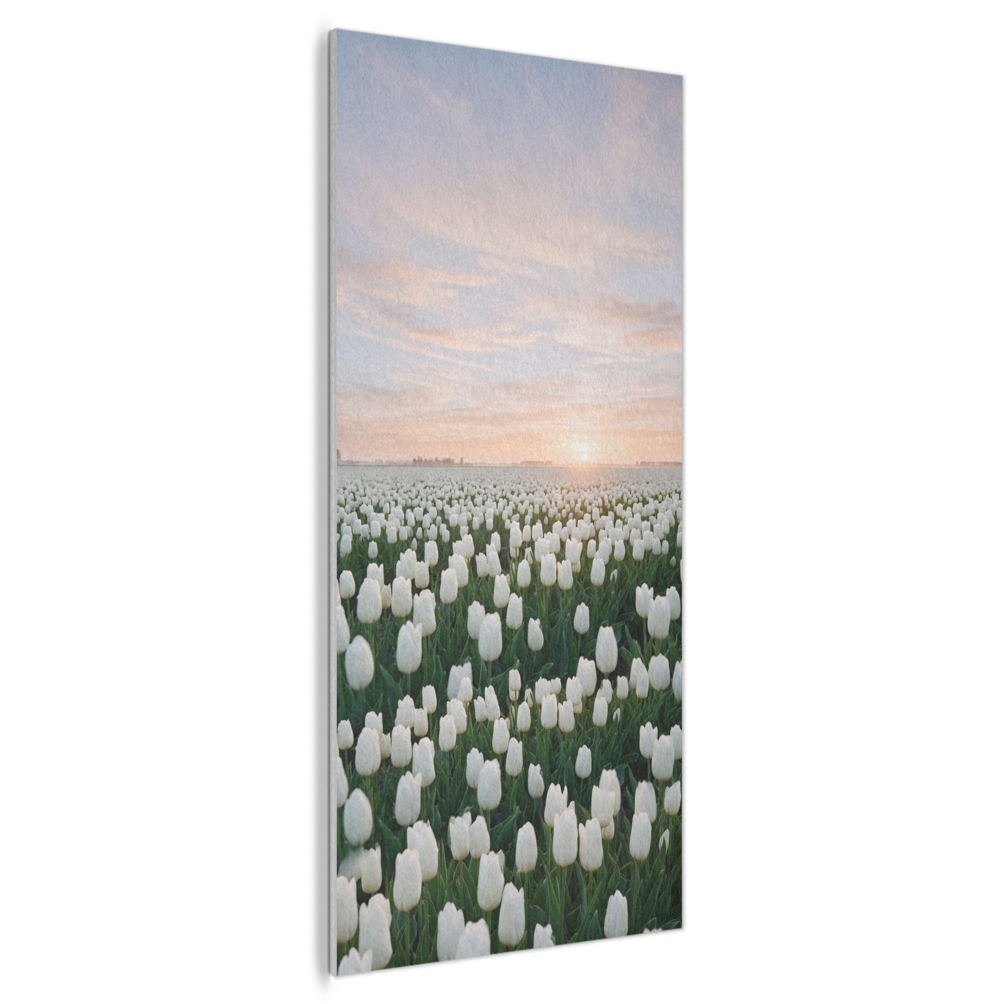 MuchoWow Gemälde Tulpen - Landschaft - Weiß, Fotodruck (1 St), Akustikpaneele Rund, Akustikbild, Schalldämmung, Deko 60x120 cm