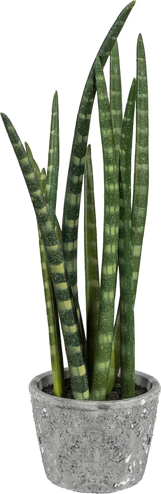 Kunstpflanze Sanseveria, Creativ green, Höhe 46 cm günstig online kaufen