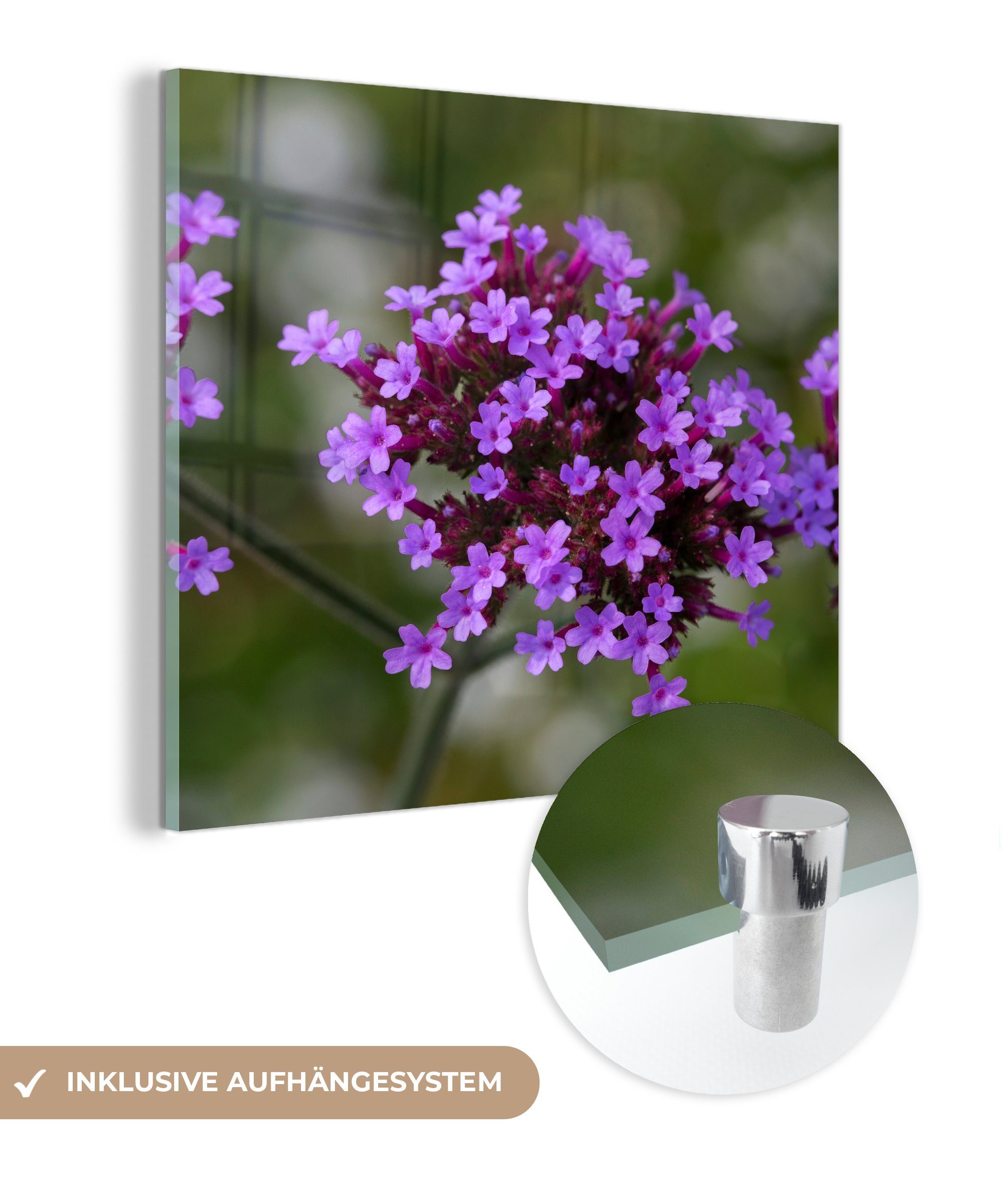 MuchoWow Acrylglasbild Blumen-Eisenherz, (1 St), Glasbilder - Bilder auf Glas Wandbild - Foto auf Glas - Wanddekoration