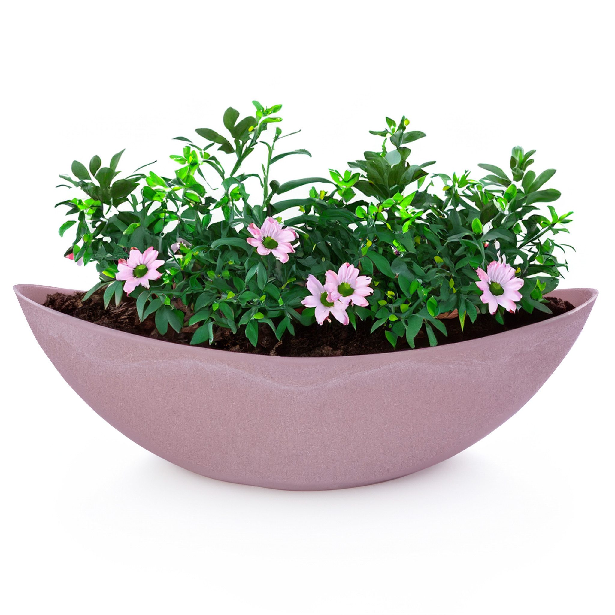 matches21 HOME & HOBBY Blumentopf Große Vintage Outdoor Pflanzschale oval 39 cm alt-rosa (1 St), Längliche Deko-Schale als wetterfeste Garten-Deko Blumen-Schale