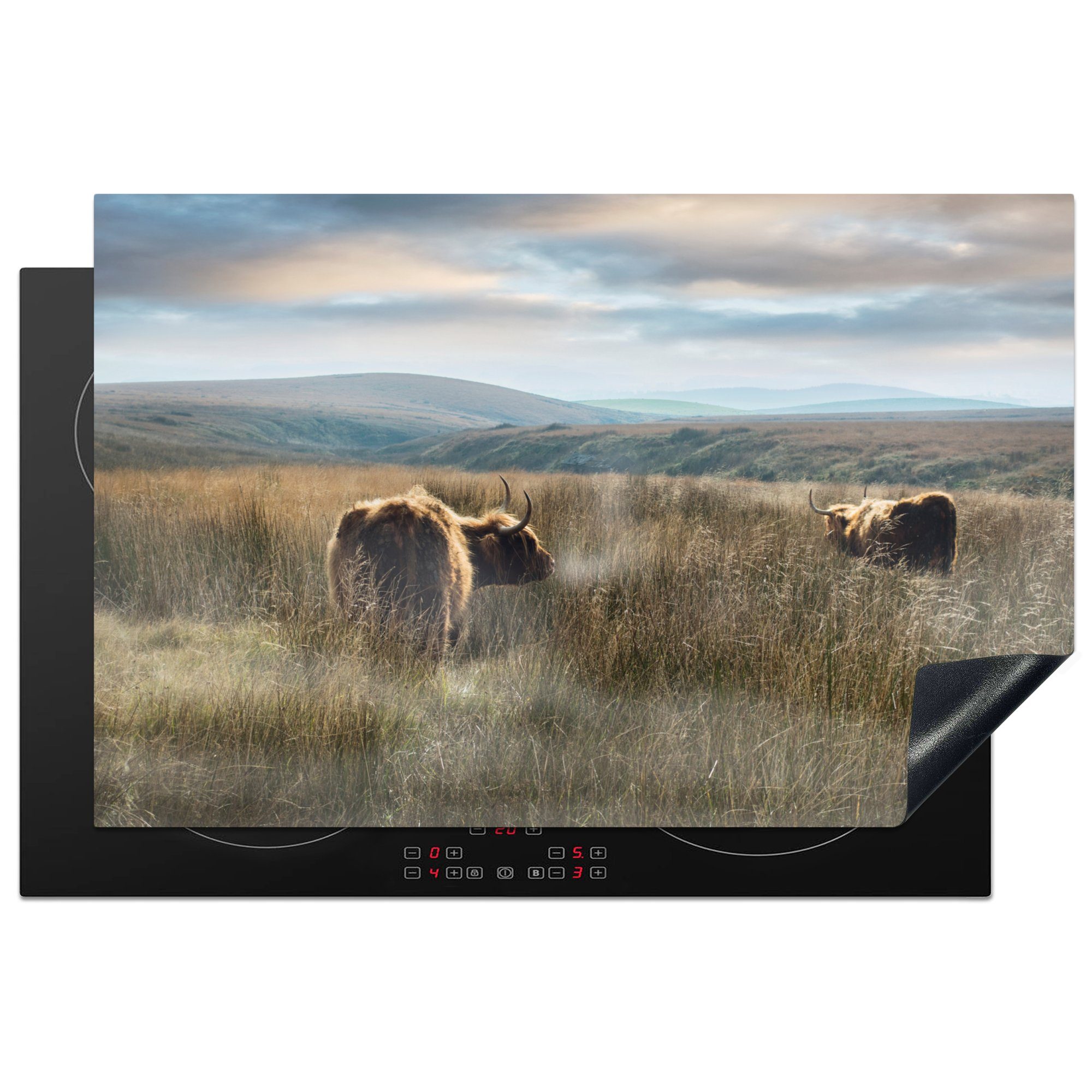 Highlander Gras, 81x52 Nebel tlg), Induktionskochfeld Herdblende-/Abdeckplatte - Ceranfeldabdeckung die Schutz für küche, MuchoWow cm, Vinyl, Schottische - (1