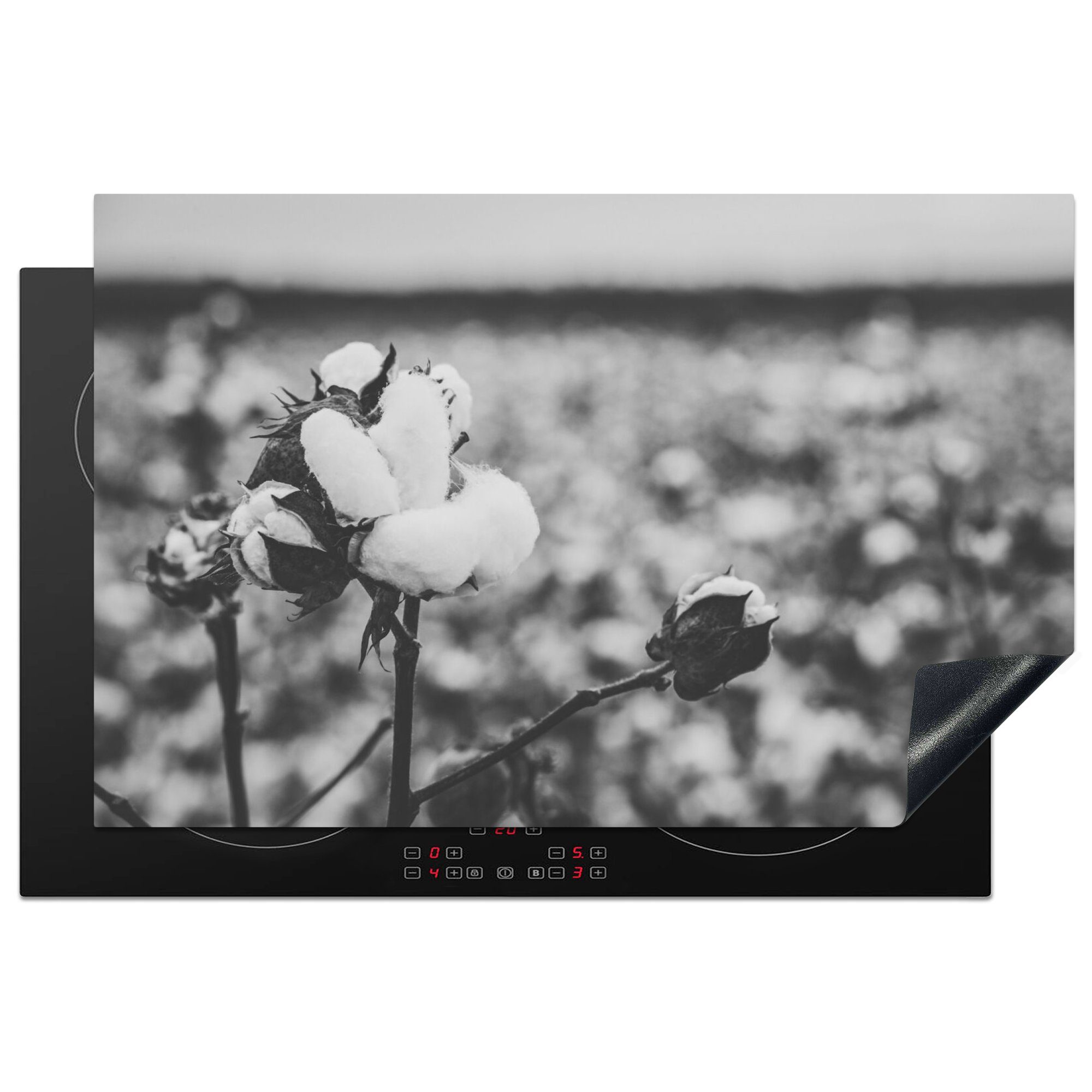 - 81x52 Baumwolle für MuchoWow Ceranfeldabdeckung, - Herdblende-/Abdeckplatte küche Schwarz Weiß, tlg), - Pflanzen cm, (1 Vinyl, Arbeitsplatte