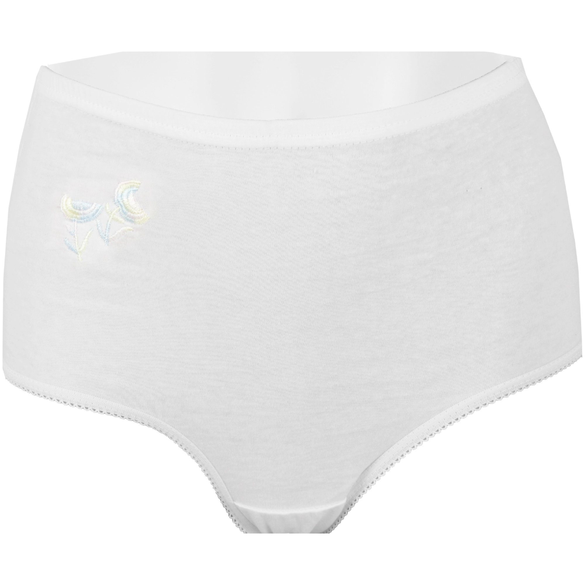 hemmy Fashion Hüftslip BHS-05152 (5-St) Damen Slips - 100% Baumwolle - hohe Taille mit Gummibund, Hüftslip