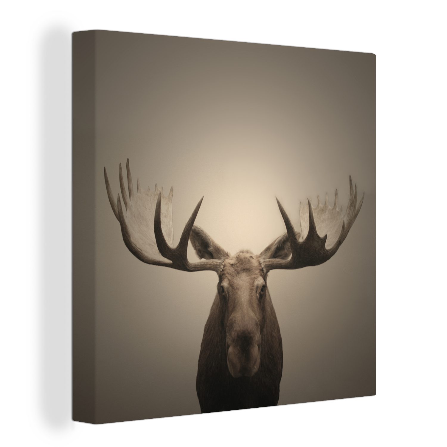 OneMillionCanvasses® Leinwandbild Ein Elch auf grauem Hintergrund, (1 St), Leinwand Bilder für Wohnzimmer Schlafzimmer