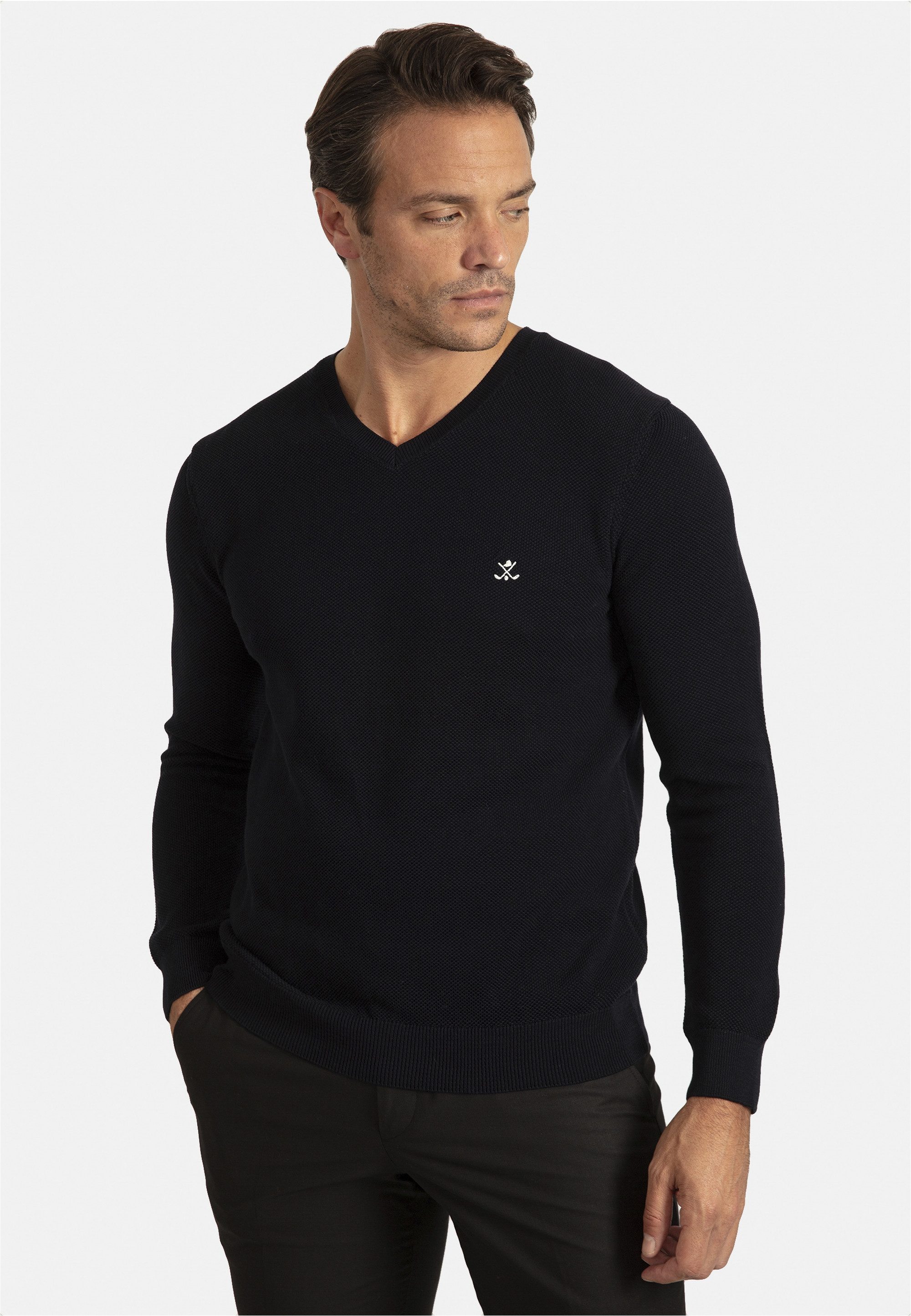 SIR RAYMOND TAILOR V-Ausschnitt-Pullover Liva mit elegantem V-Ausschnitt