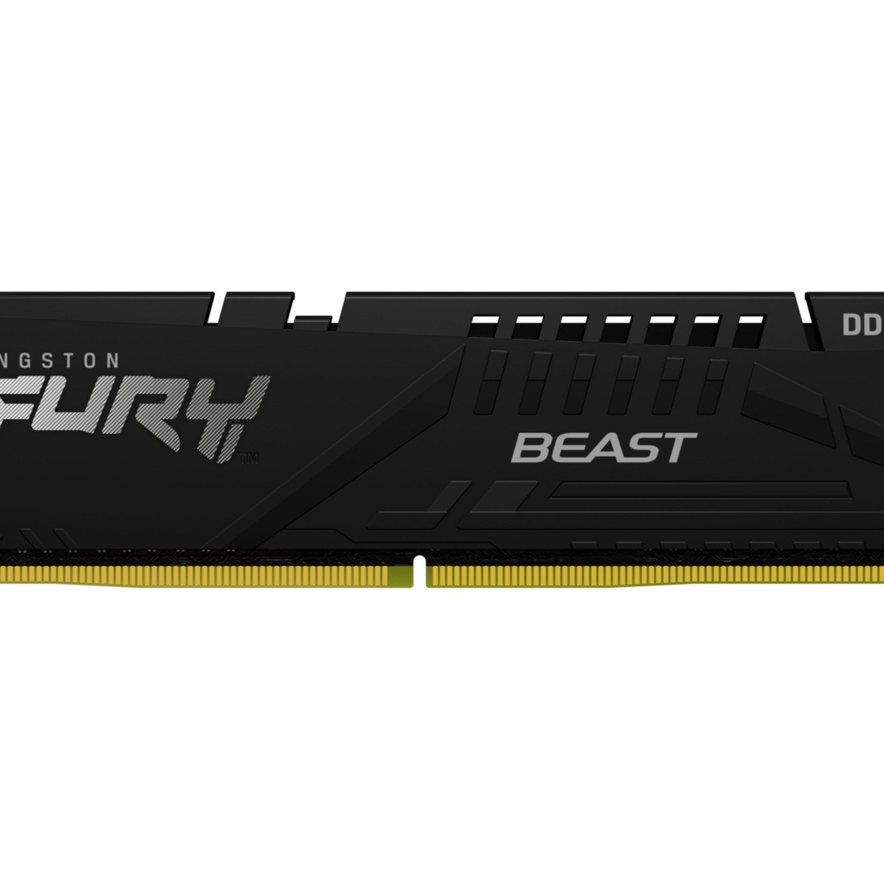 Kingston 16GB 6000MT/s DDR5 CL36 DIMM FURY Beast Black EXPO Arbeitsspeicher (DDR5 16 GB, 1 x 16 GB, 288-pin DIMM)