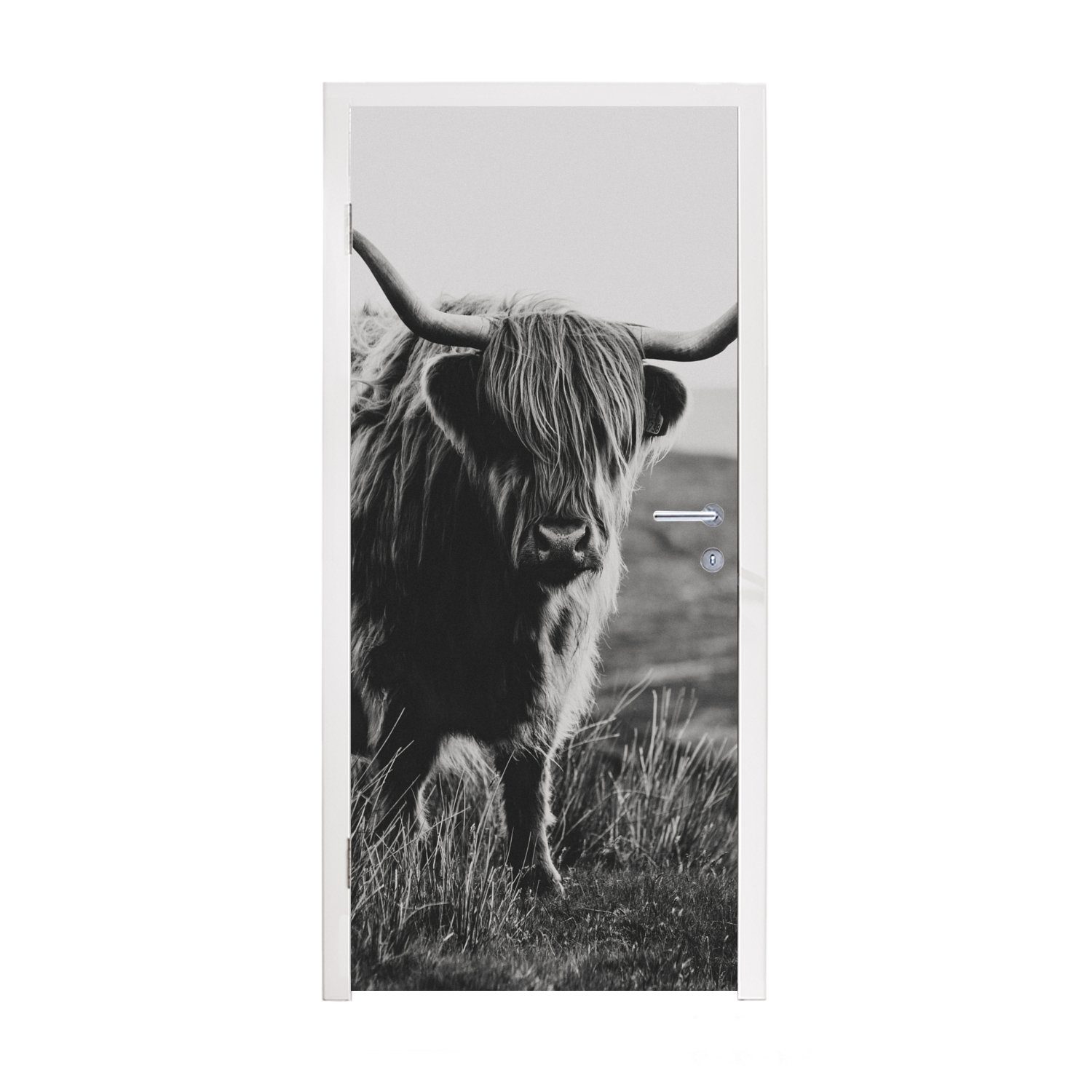 MuchoWow Türtapete Schottischer Hochlandbewohner - Natur - Kühe - Tiere - Schwarz und, Matt, bedruckt, (1 St), Fototapete für Tür, Türaufkleber, 75x205 cm