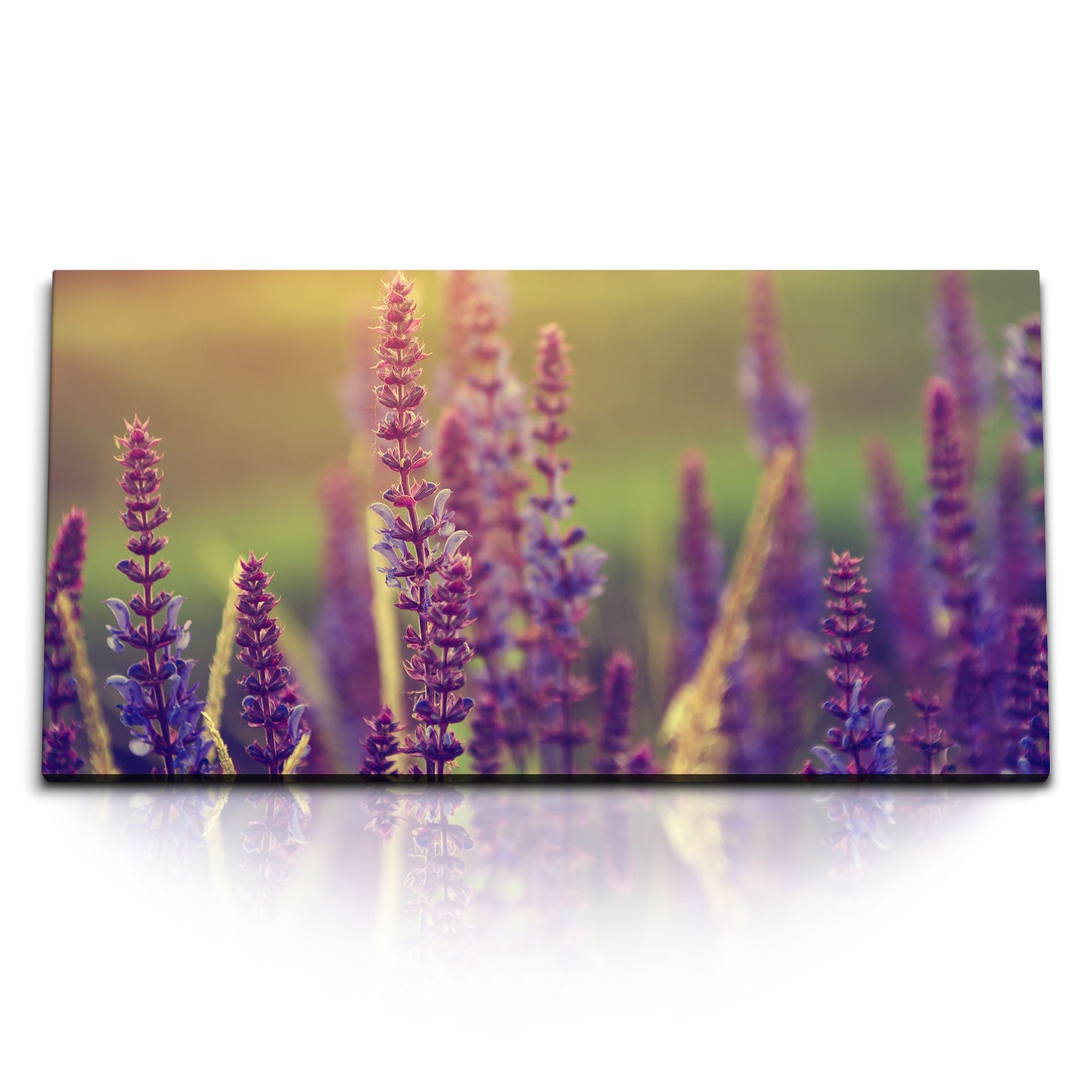 Sinus Art Leinwandbild Kunstdruck Bilder 120x60cm Lavendel Sonnenuntergang Sommer Natur Blume, (1 St)