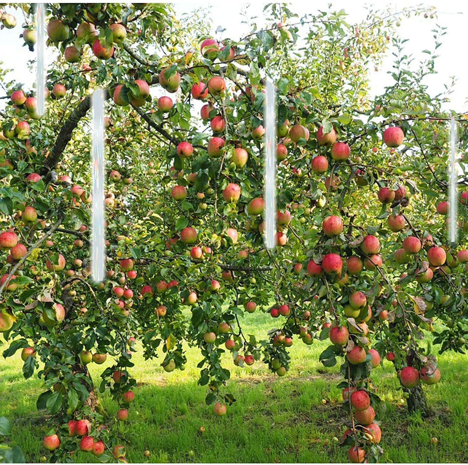 TronicXL Vogelabwehr-Windspiel 2 Rollen Reflektierendes Vogelabwehr Band Vo günstig online kaufen