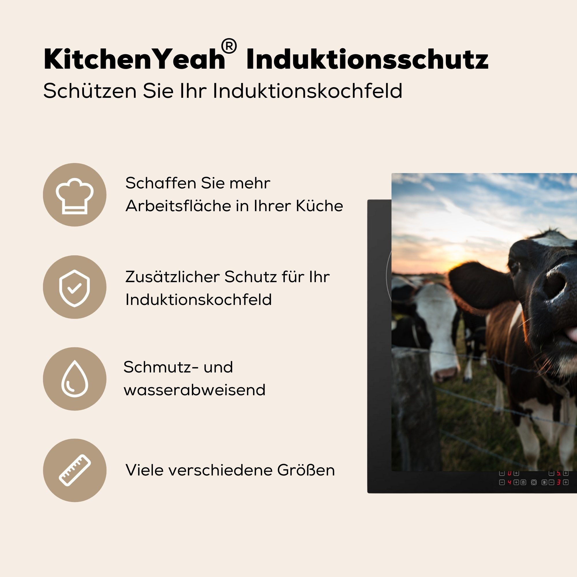 MuchoWow für - Induktionskochfeld cm, 58x51 Vinyl, Tier (1 Herdblende-/Abdeckplatte Kuh Nahaufnahme, tlg), Küchen Induktionsherd, Dekoration -