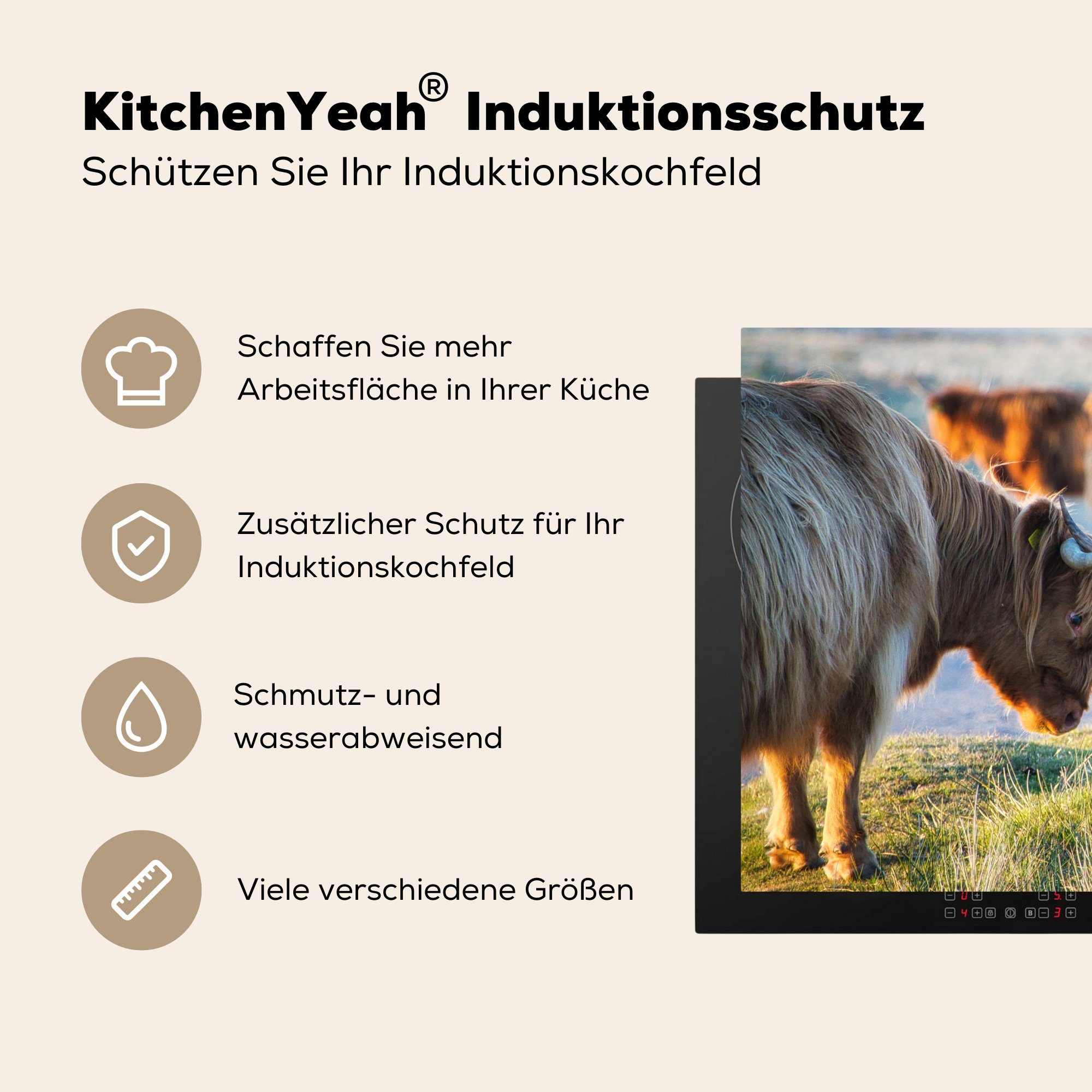 Tiere küche Herdblende-/Abdeckplatte Ceranfeldabdeckung, (1 MuchoWow cm, - für Vinyl, tlg), - Sonne, Highlander 77x59 Schottische Arbeitsplatte