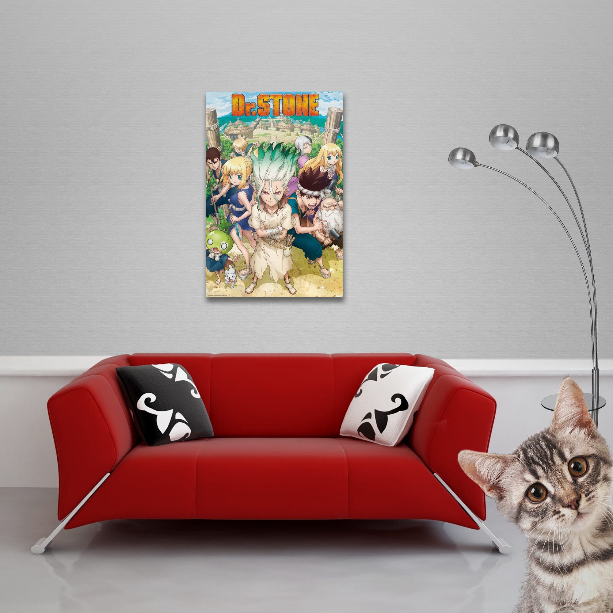 Poster Dr. Stone - Poster - Group