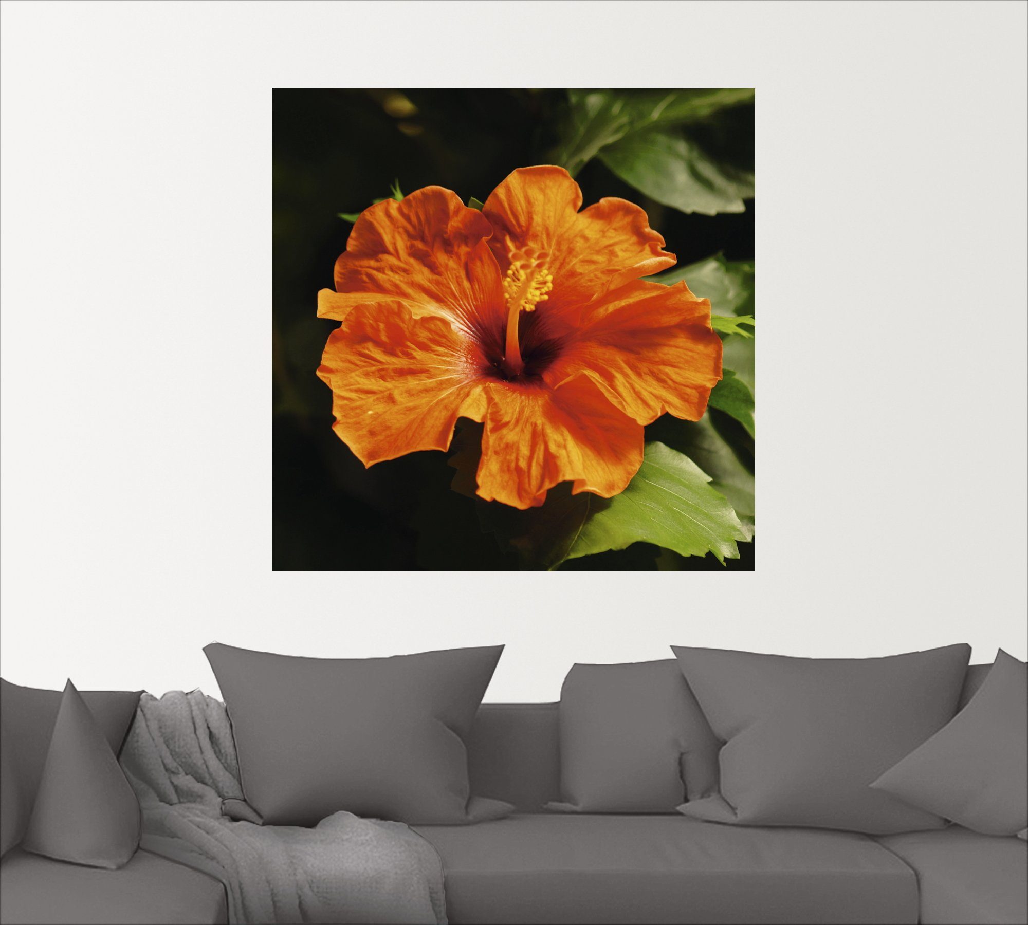 (1 Wandaufkleber Poster Artland St), Wandbild versch. Blumen Größen Leinwandbild, Alubild, oder als Hibiskus, in Orangener