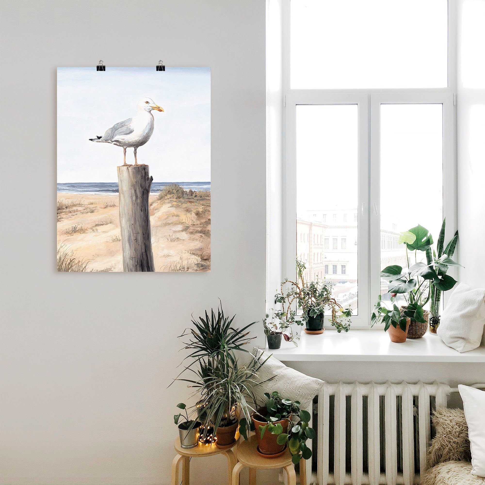 Artland Wandbild Möwe, Vögel (1 St), als Alubild, Leinwandbild, Poster in verschied. Größen