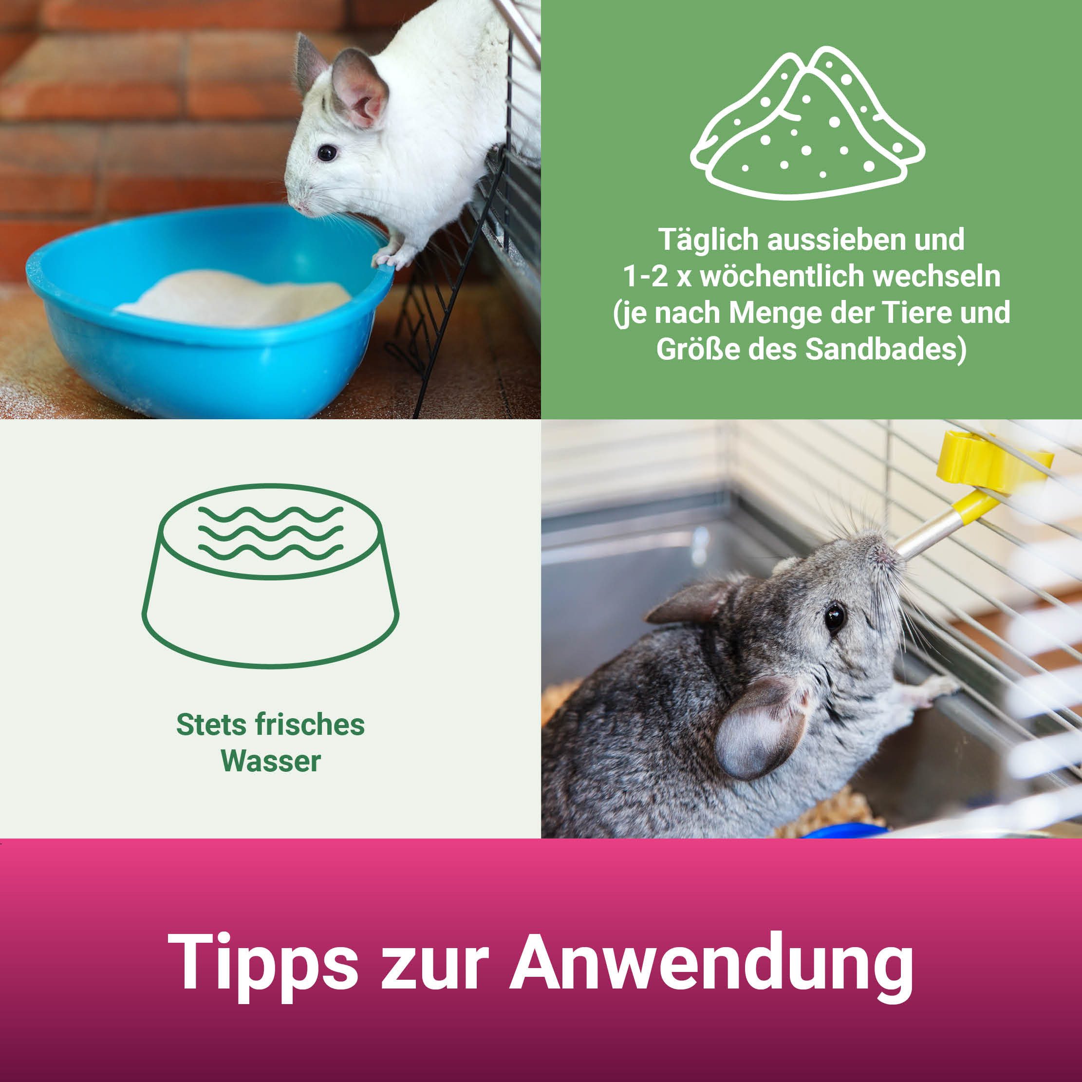 PANTO Terrariensand Chinchillasand, Feiner naturweißer Quarzsand – Bild 4 von 5