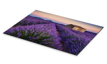 Posterlounge Alu-Dibond-Druck André Wandrei, Lavendelfarben, Natürlichkeit Fotografie