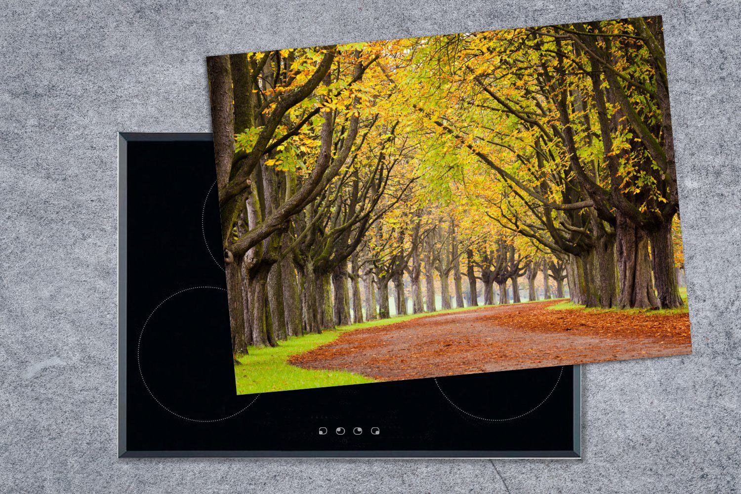 Herdblende-/Abdeckplatte tlg), (1 Kastanienbäume Ceranfeldabdeckung cm, Herbst, nutzbar, MuchoWow Mobile im Arbeitsfläche 70x52 Vinyl,
