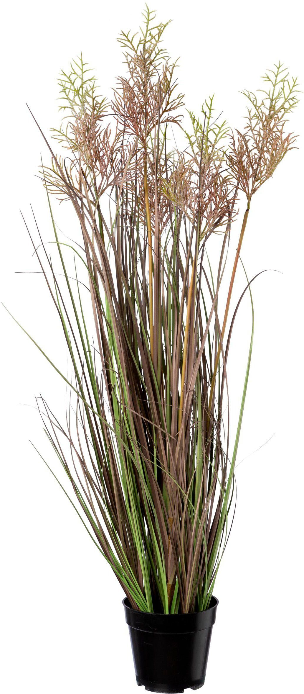 Kunstgras Reitgras im Topf Gras, Creativ green, Höhe 104 cm günstig online kaufen