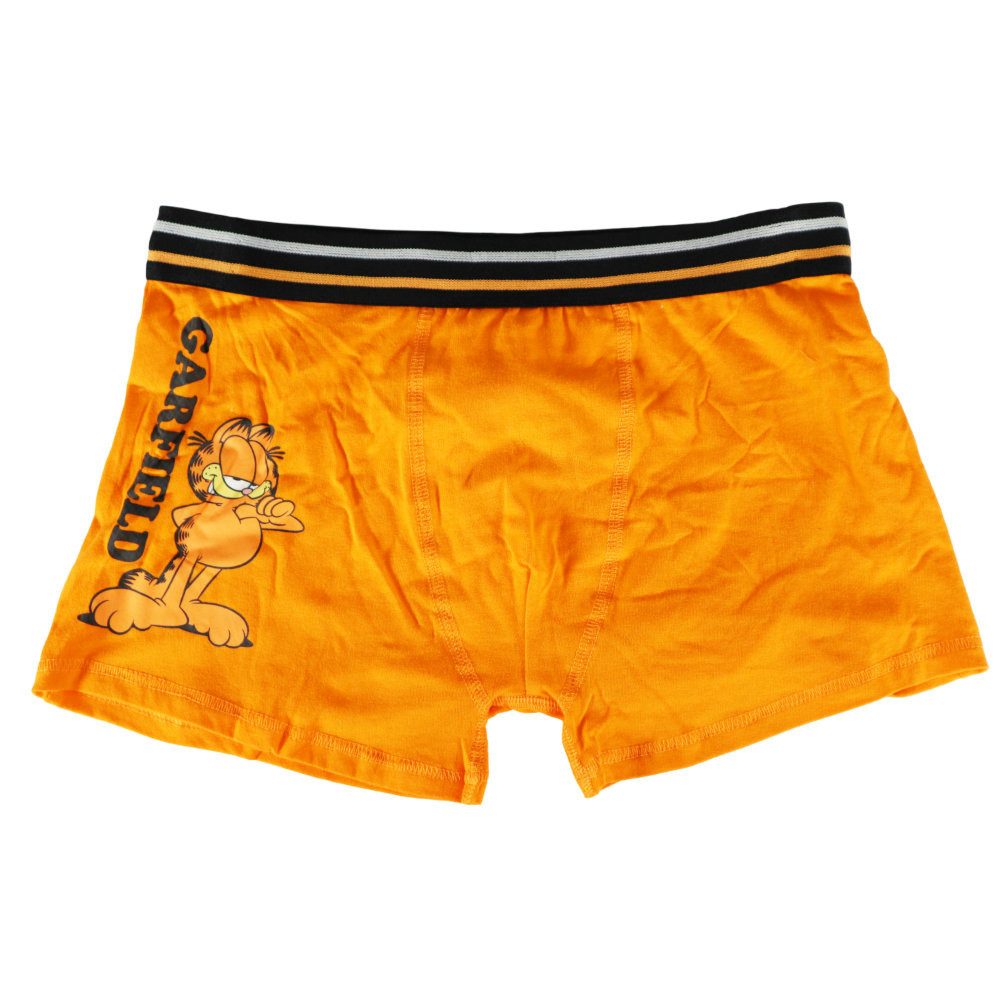 Garfield Boxershorts Garfield der Kater Herren Boxershorts Unterhose 2er Pa günstig online kaufen
