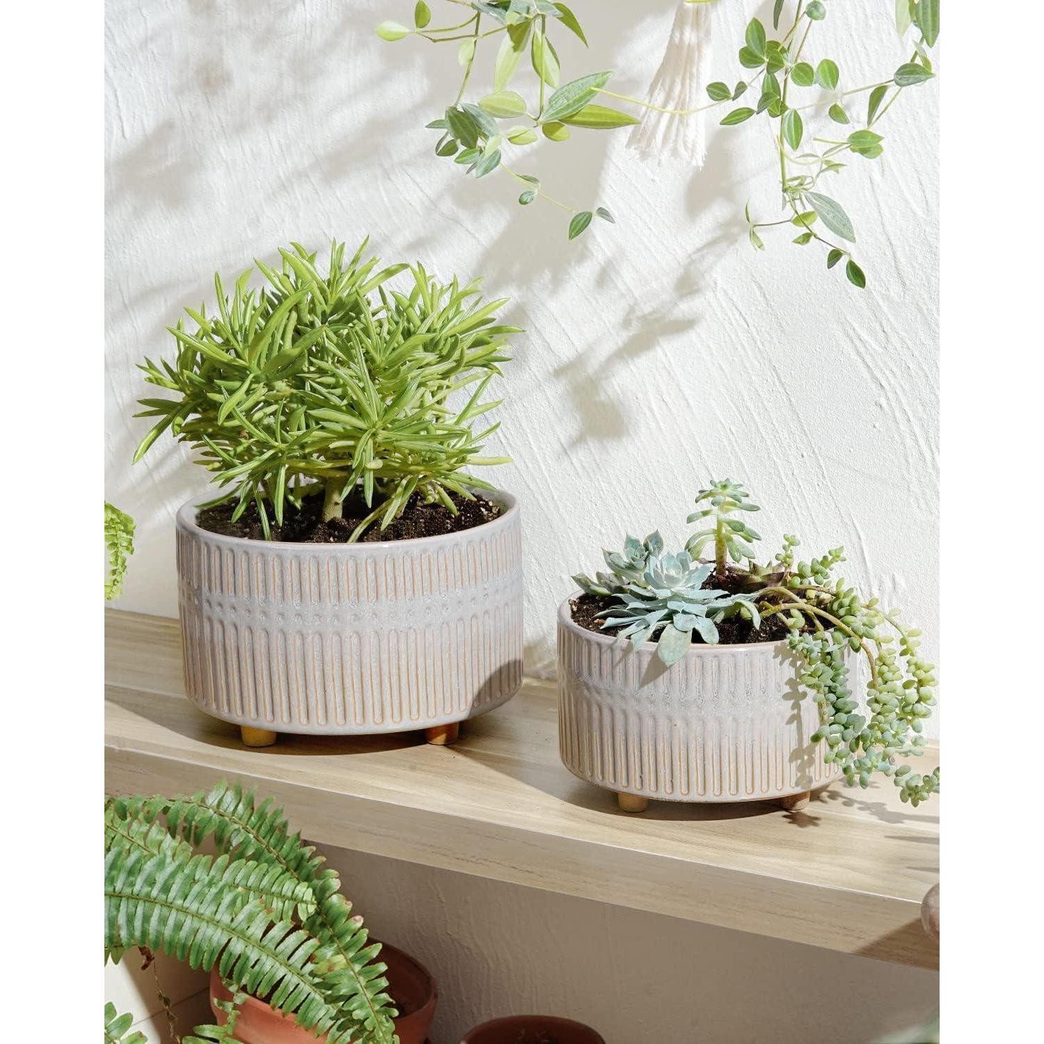 LuxusKollektion Blumentopf Sukkulententopf Keramik Entwässerungslöcher 20cm 2er Set Stern Weiß