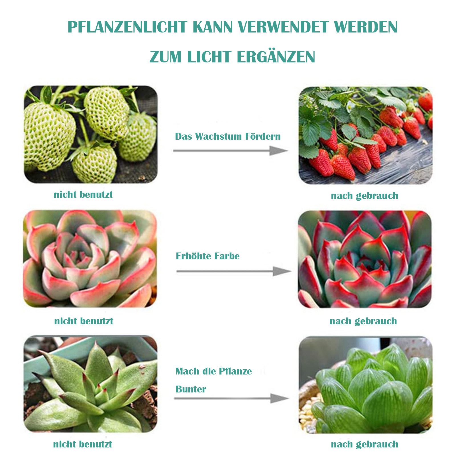 MUPOO Pflanzenlampe LED Pflanzenwachstum-Glühbirne, Grow light, Rot, Blau, günstig online kaufen
