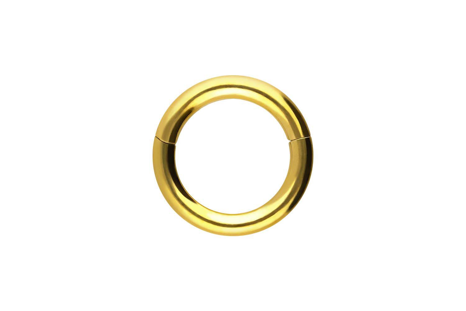 PIERCINGLINE Nasenpiercing Chirurgenstahl Segmentring Clicker Ohrpiercing S günstig online kaufen