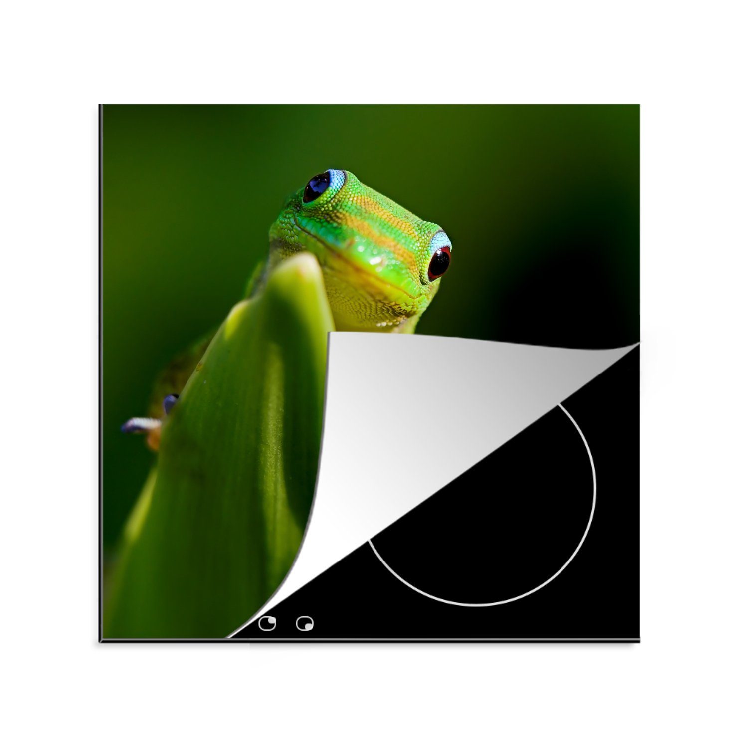 MuchoWow Herdblende-/Abdeckplatte Verliebter grüner Gecko, Vinyl, (1 tlg), 78x78 cm, Ceranfeldabdeckung, Arbeitsplatte für küche