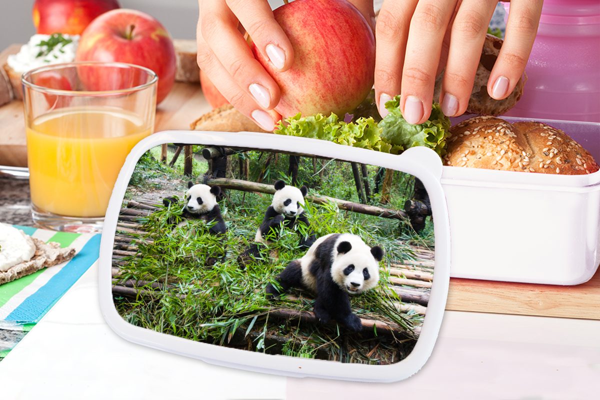 MuchoWow Lunchbox Erwachsene, und Jungs Blätter, und Brotdose, für Kunststoff, - für Pandas Bambus Mädchen Brotbox Kinder (2-tlg), weiß 