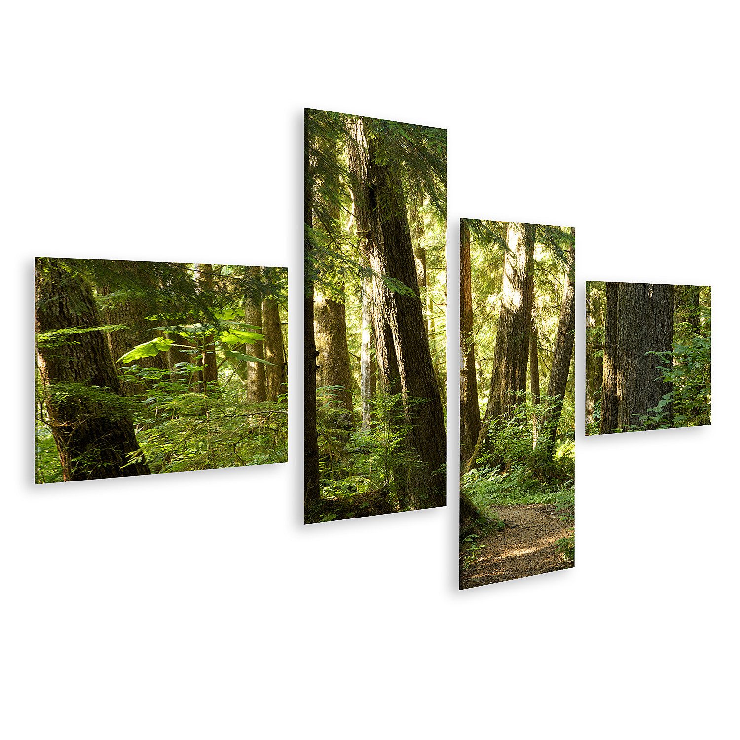 islandburner Leinwandbild Bäume Wald Bilder
