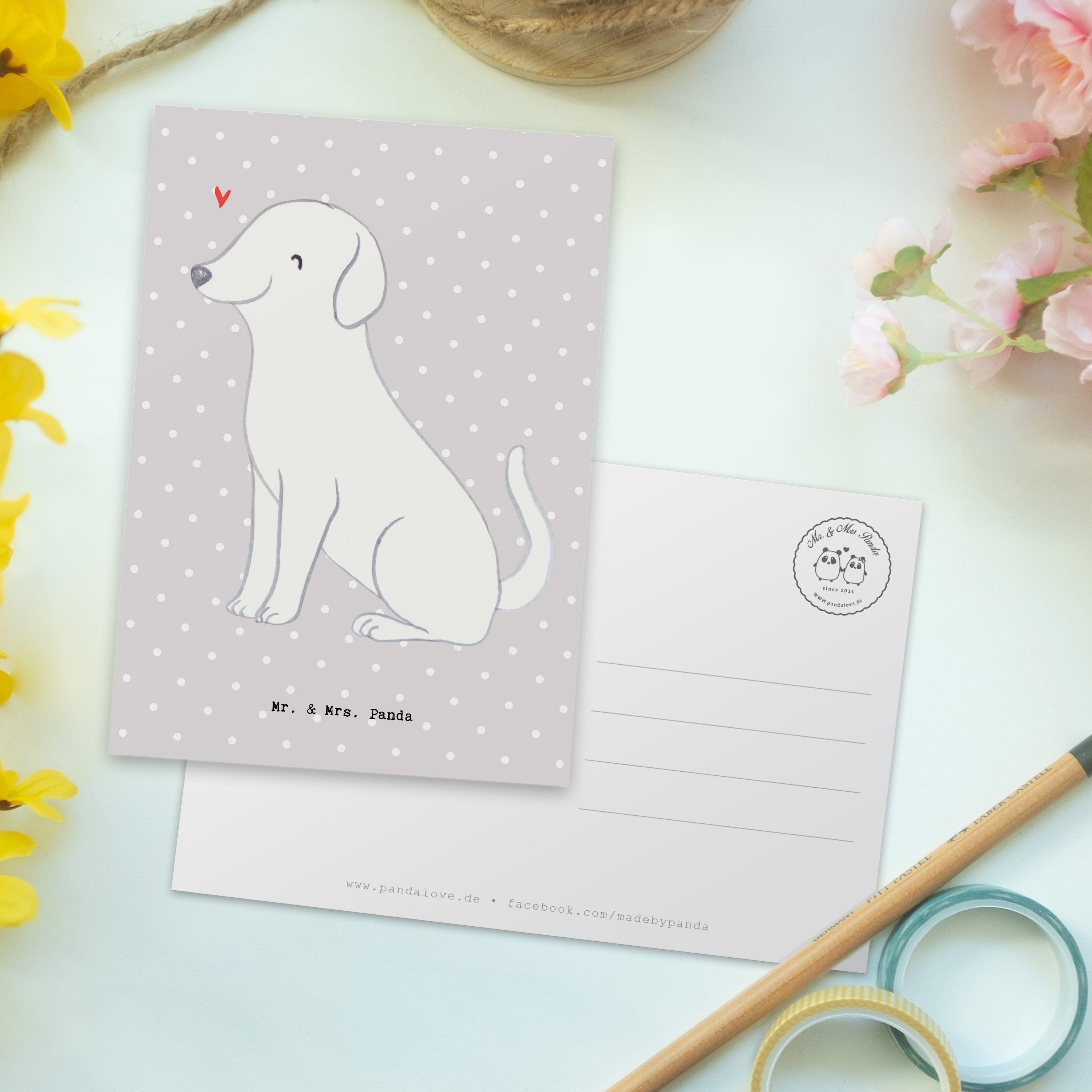 Mr. & - Moment Geschenk, Pastell Mrs. Einladung, Hund - Grußkarte, Grau Panda Postkarte Labrador