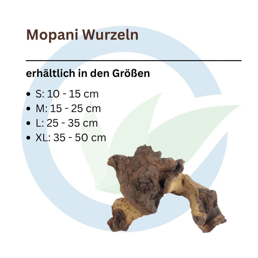 Aquaone Aquarium Mopani Wurzel S 10-15 cm