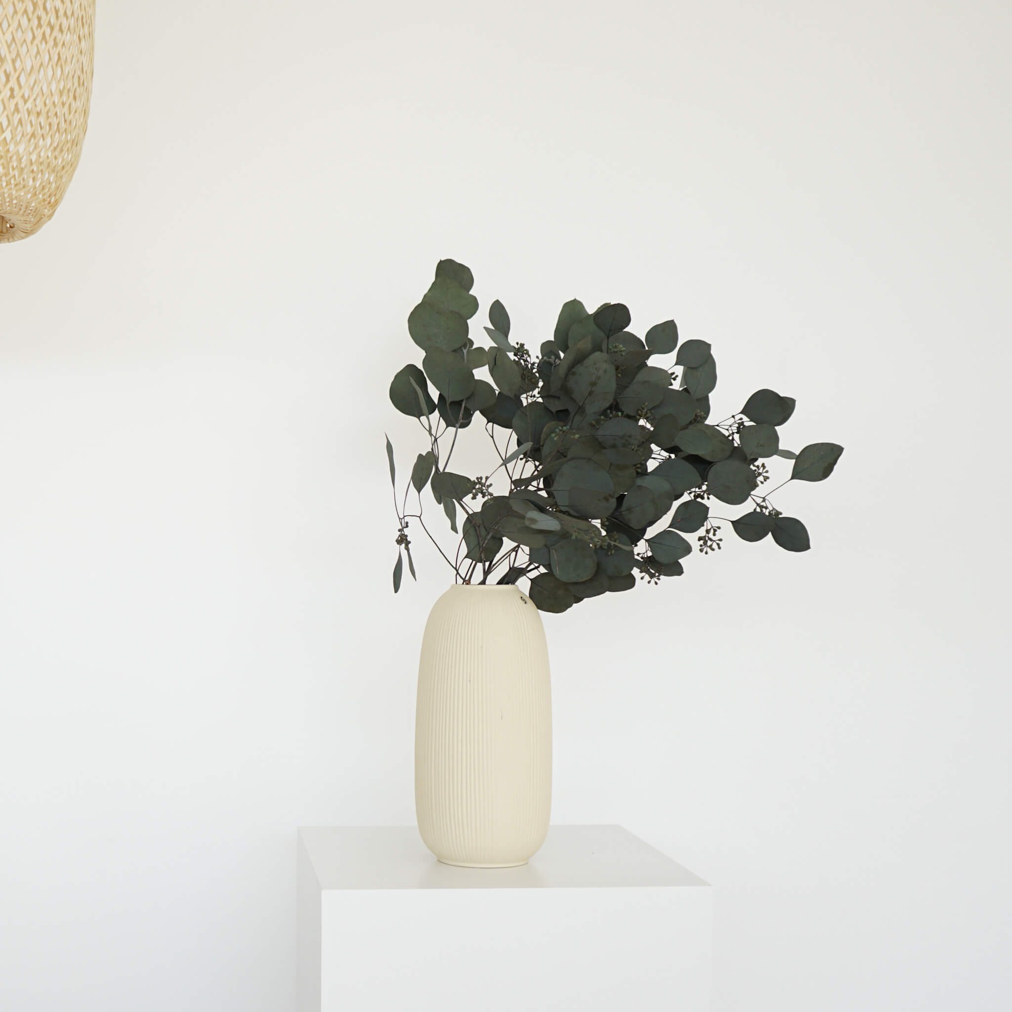 Trockenblume Eukalyptus Popolus mit Beeren, LYKKE & You