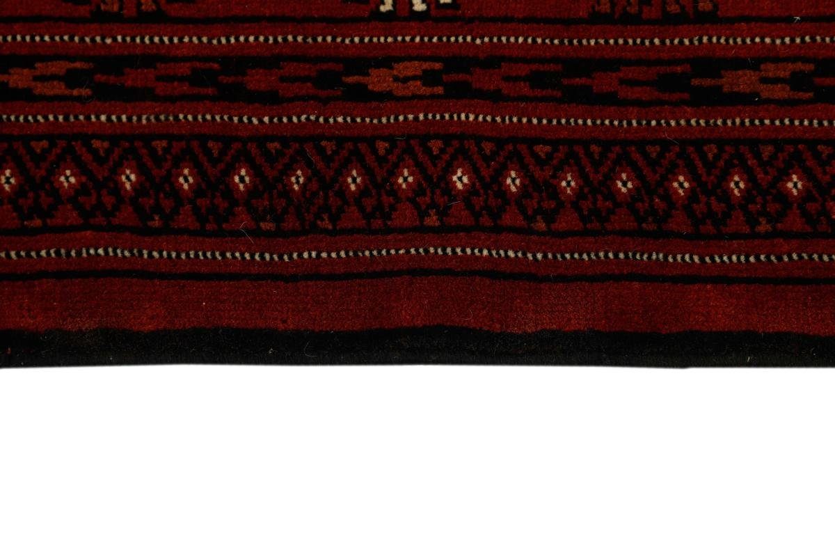 Perserteppich, / 271x417 Handgeknüpfter 6 mm rechteckig, Orientteppich Turkaman Orientteppich Nain Trading, Höhe:
